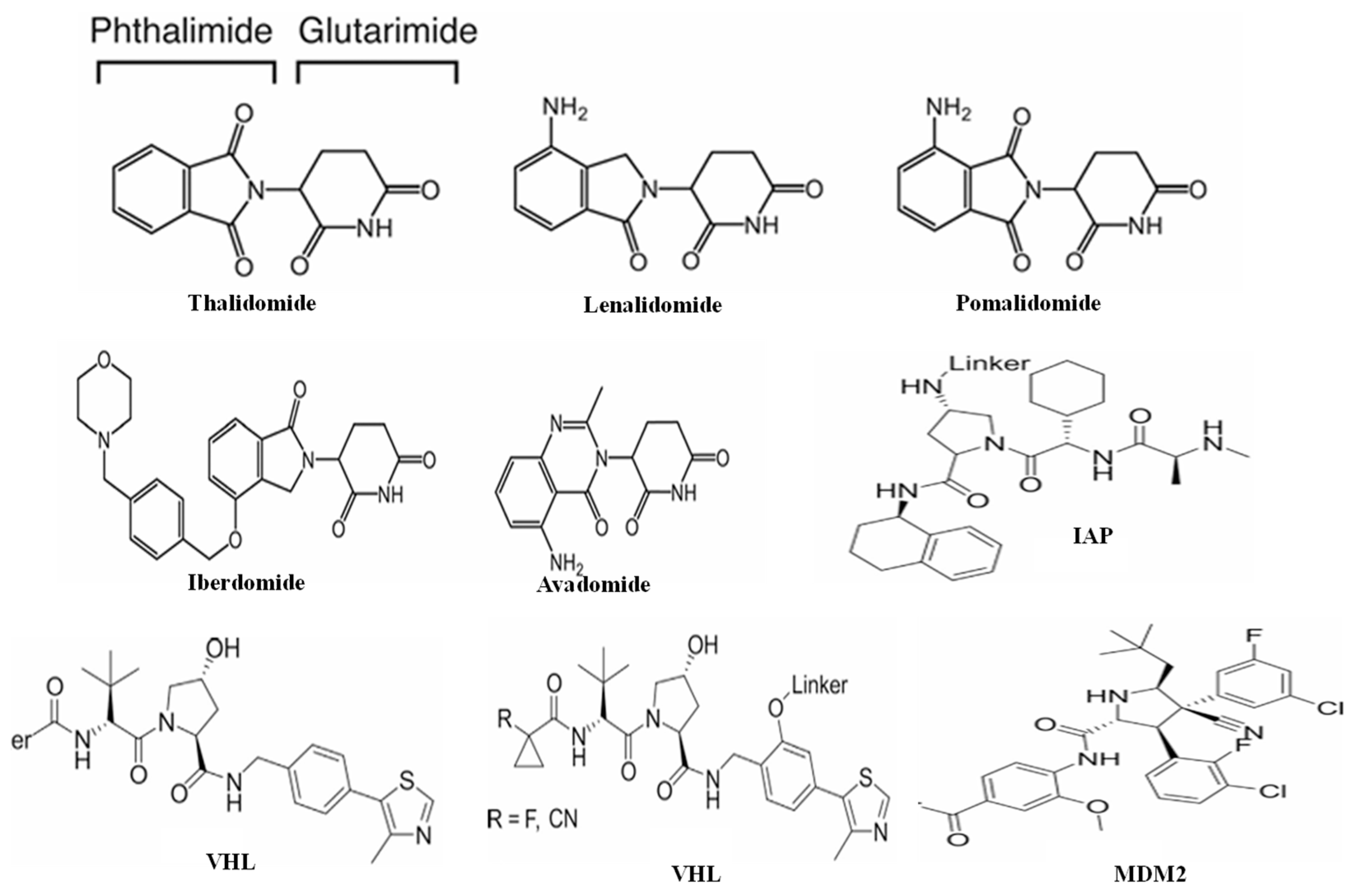 Microorganisms 13 01557 g003