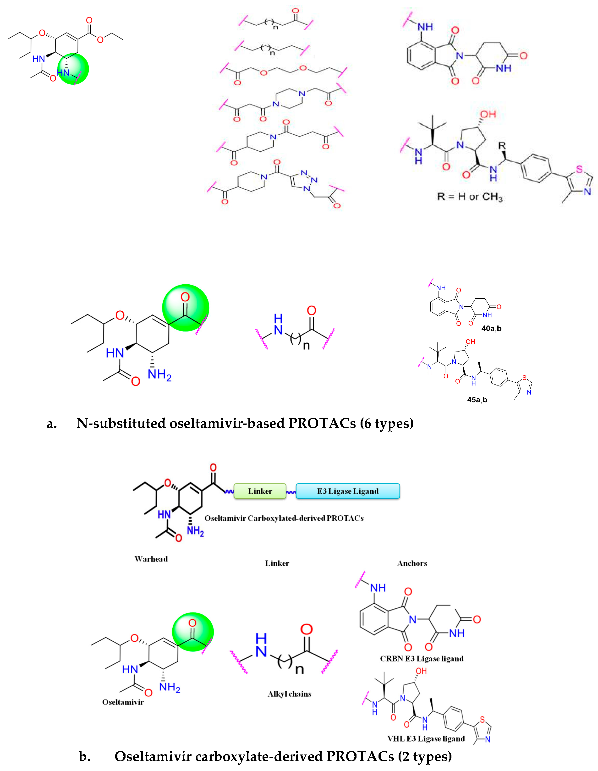 Microorganisms 13 01557 g007