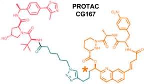 Microorganisms 13 01557 i007