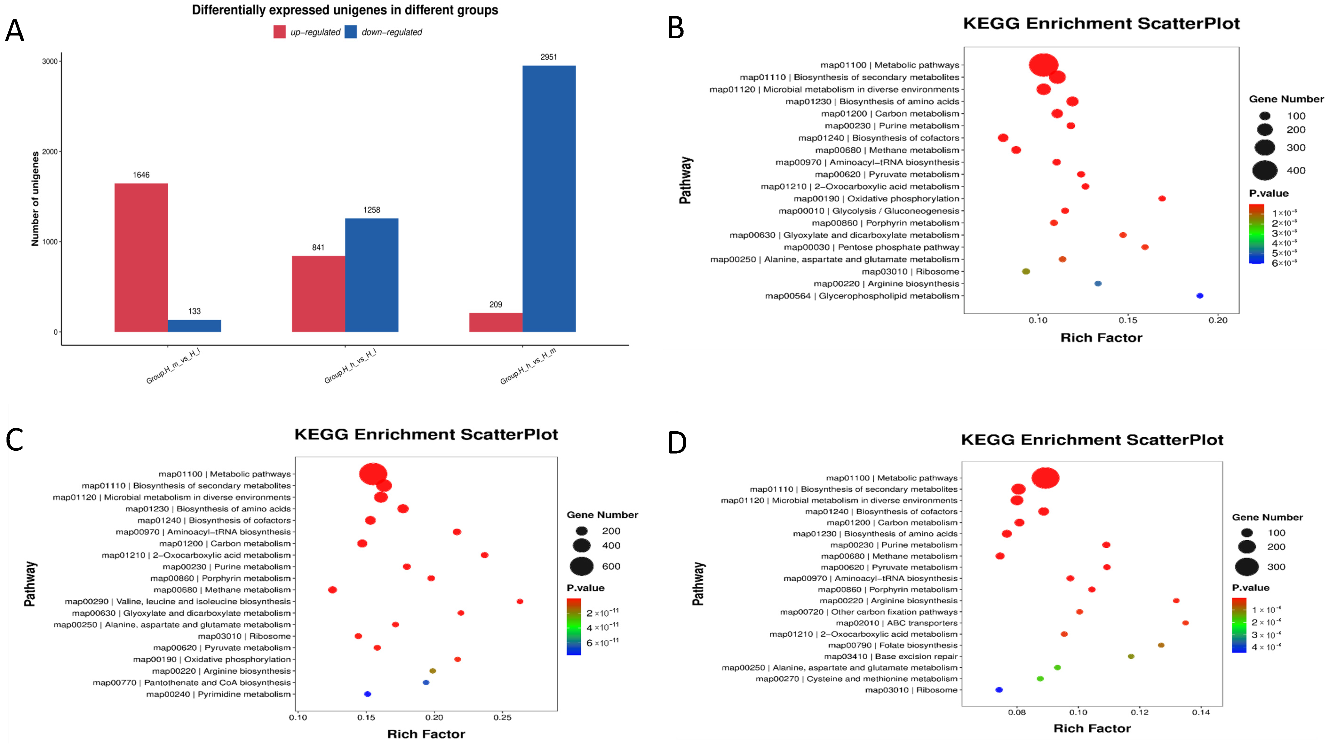 Microorganisms 13 01560 g008