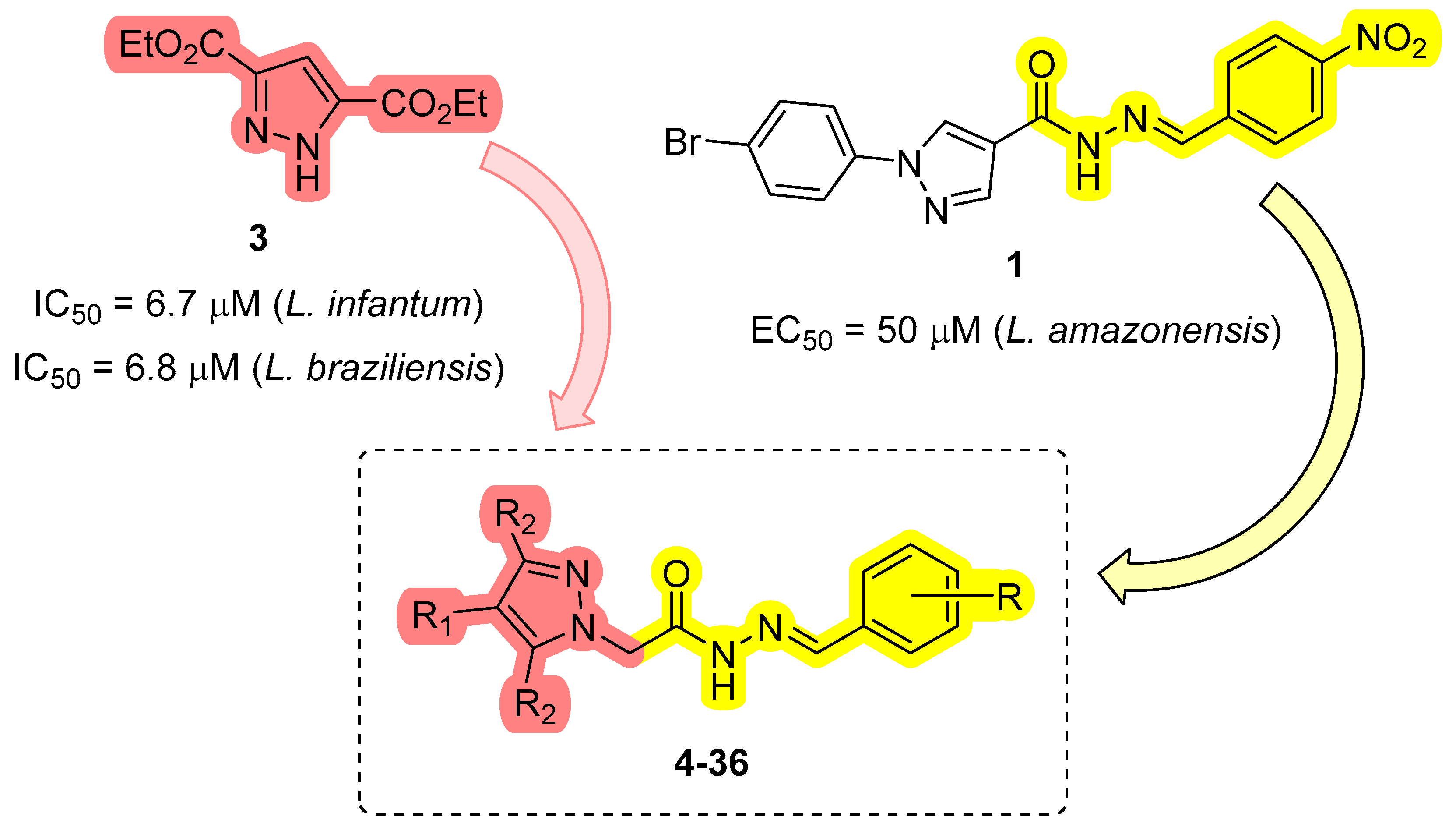 Microorganisms 13 01563 sch001
