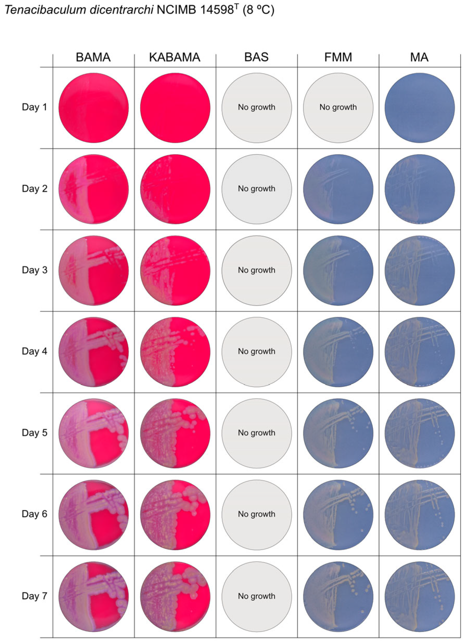 Microorganisms 13 01567 g002