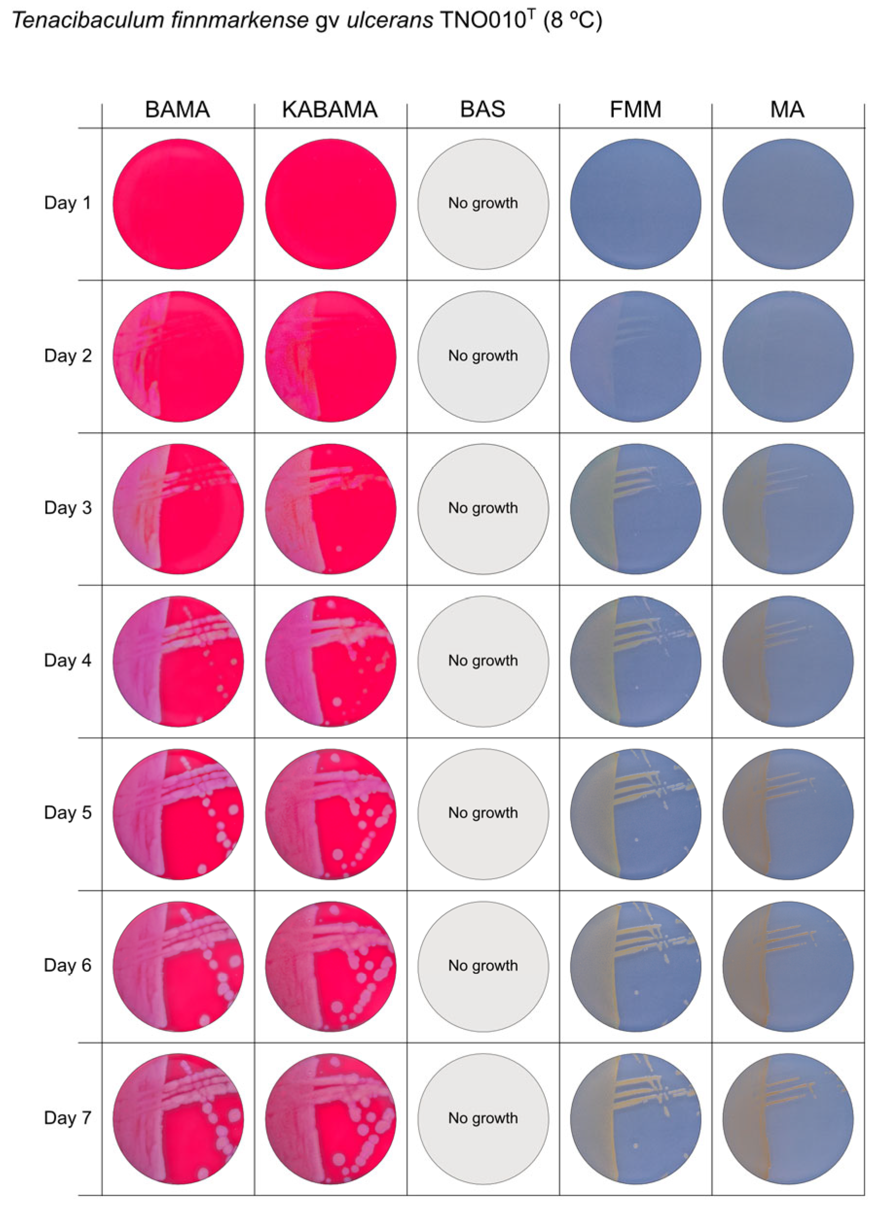 Microorganisms 13 01567 g004