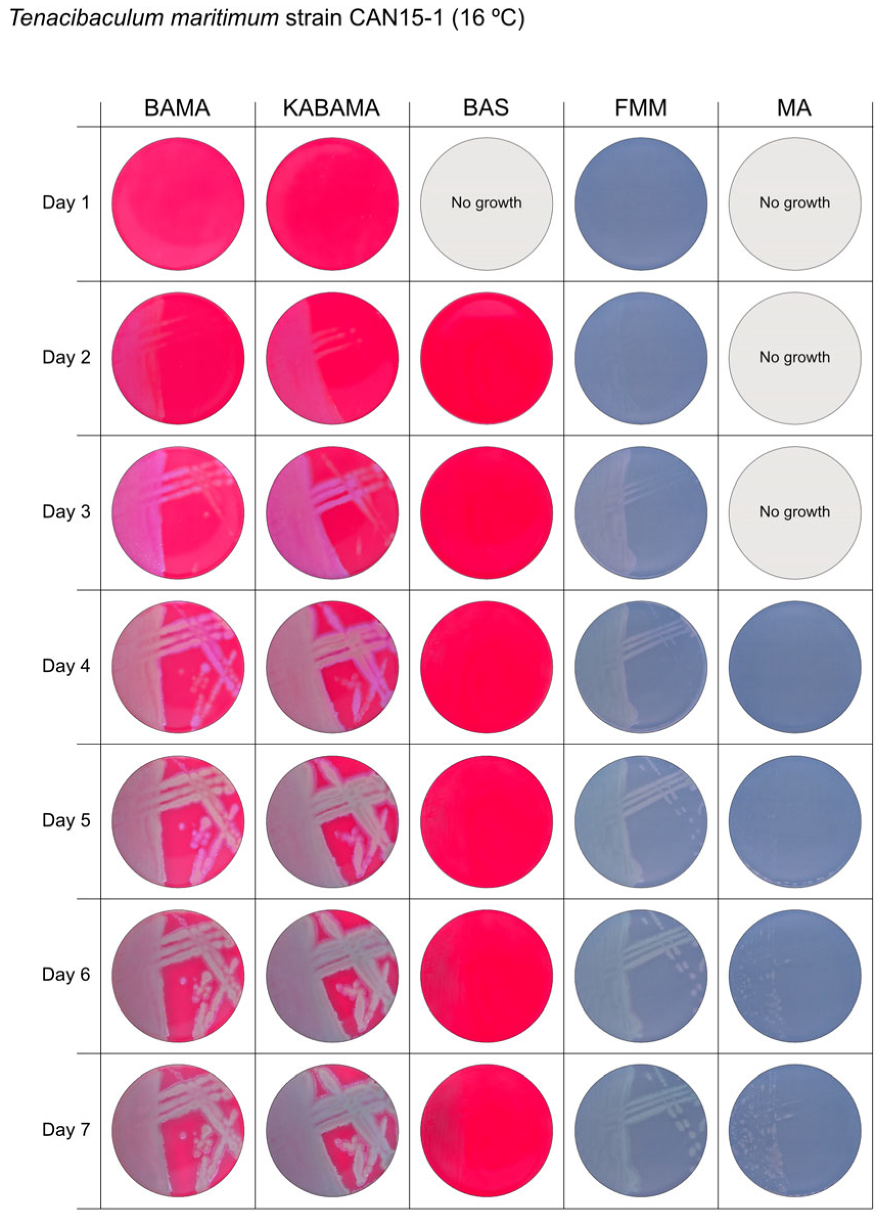 Microorganisms 13 01567 g006