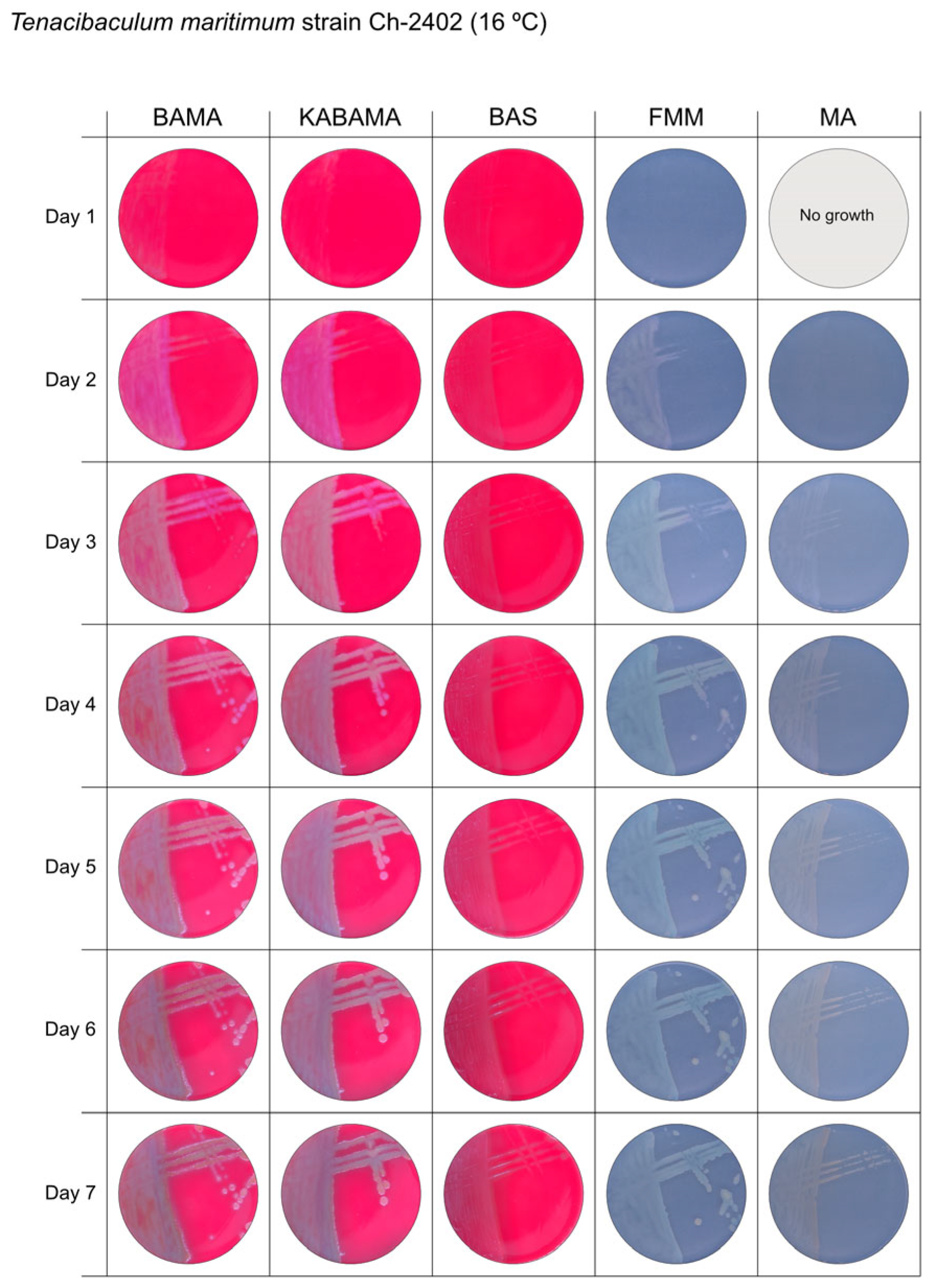 Microorganisms 13 01567 g008