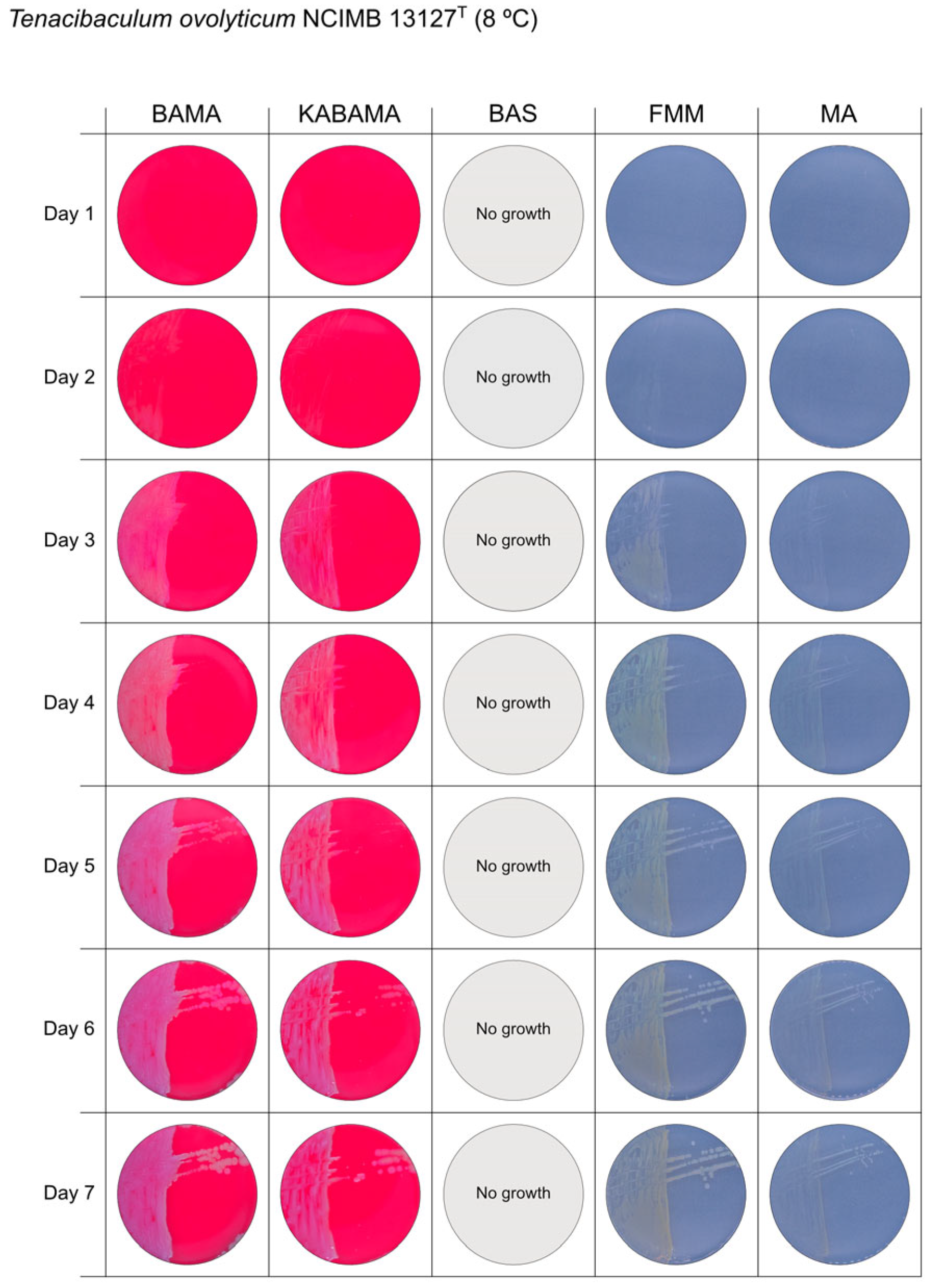 Microorganisms 13 01567 g009