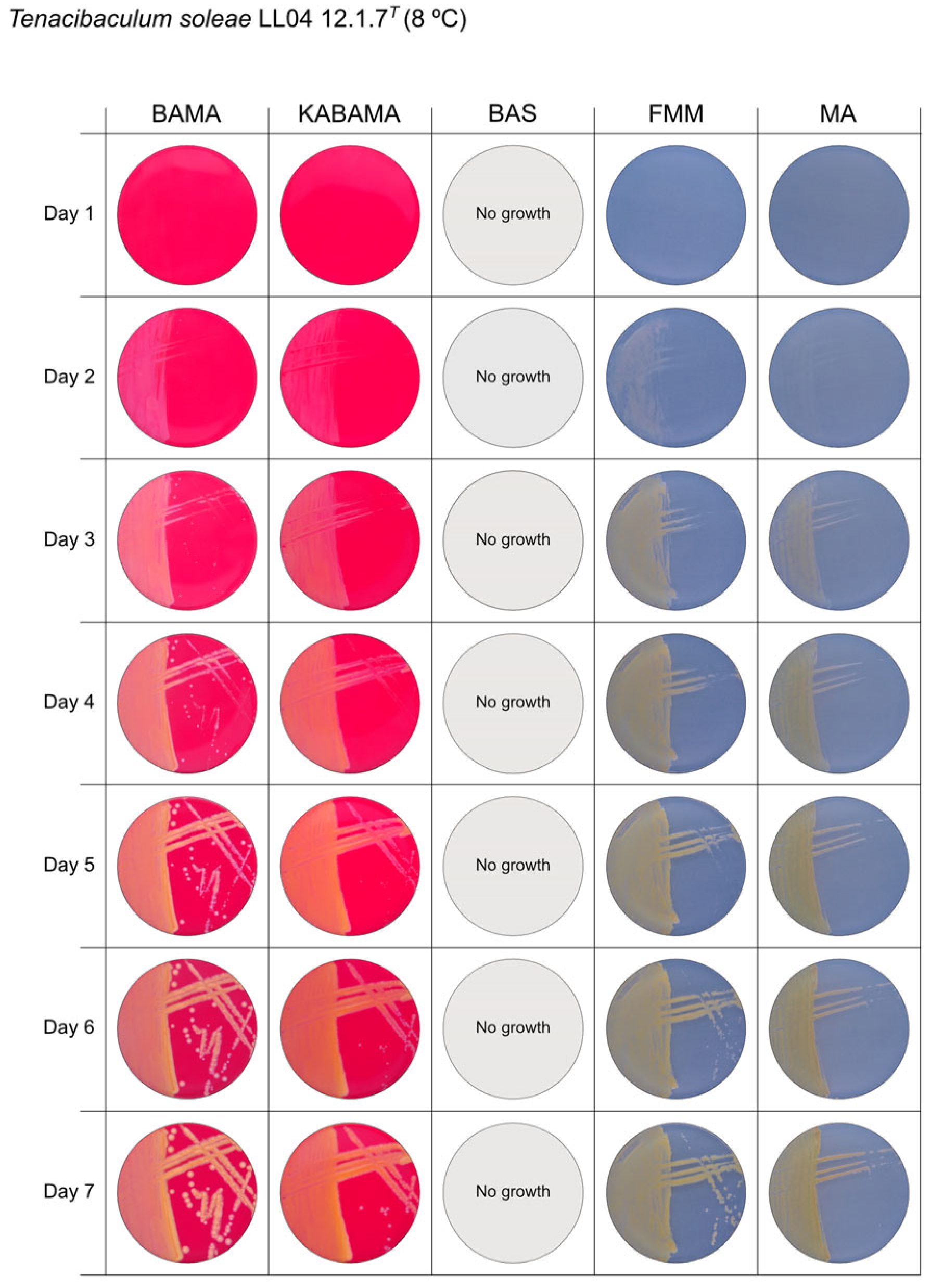 Microorganisms 13 01567 g011