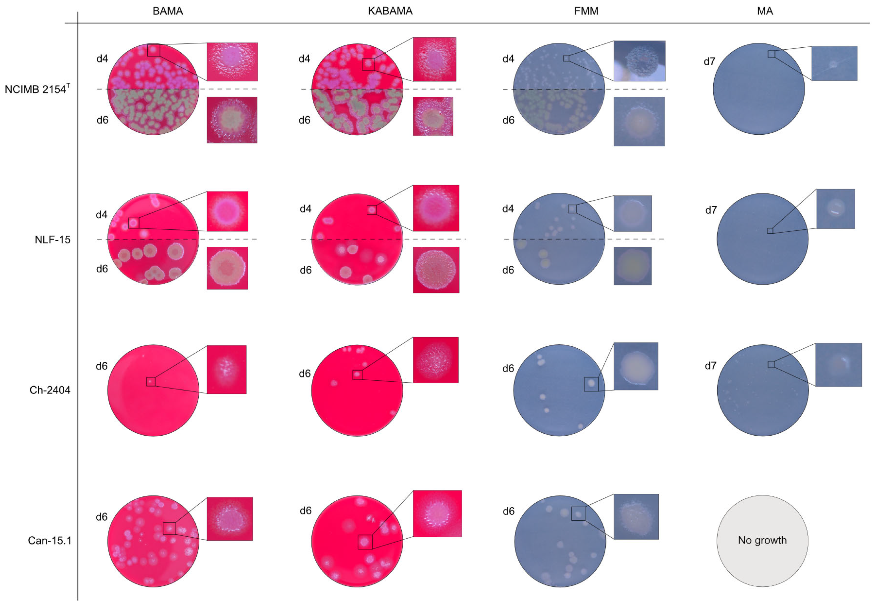 Microorganisms 13 01567 g015