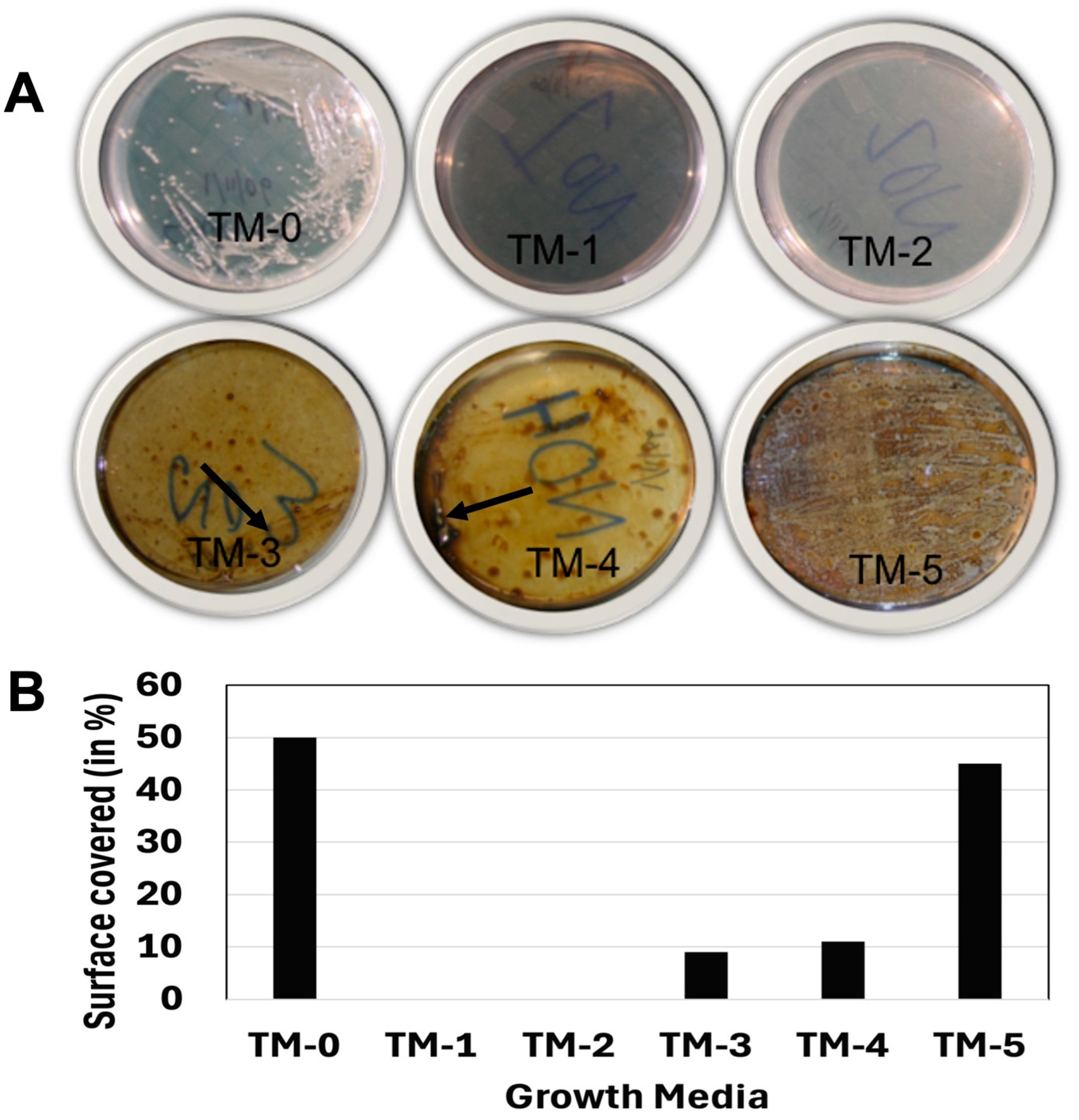 Microorganisms 13 01568 g004
