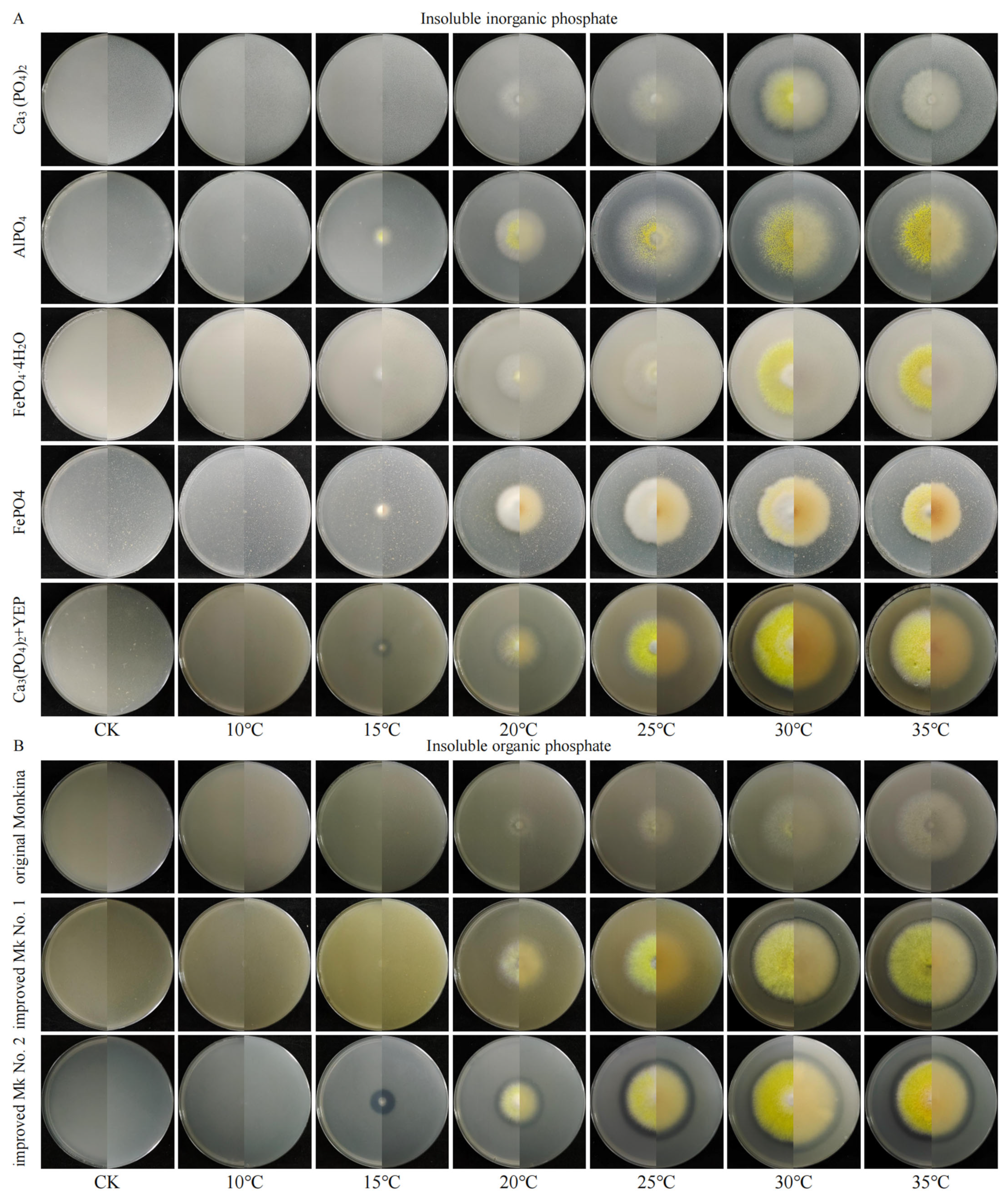 Microorganisms 13 01574 g001