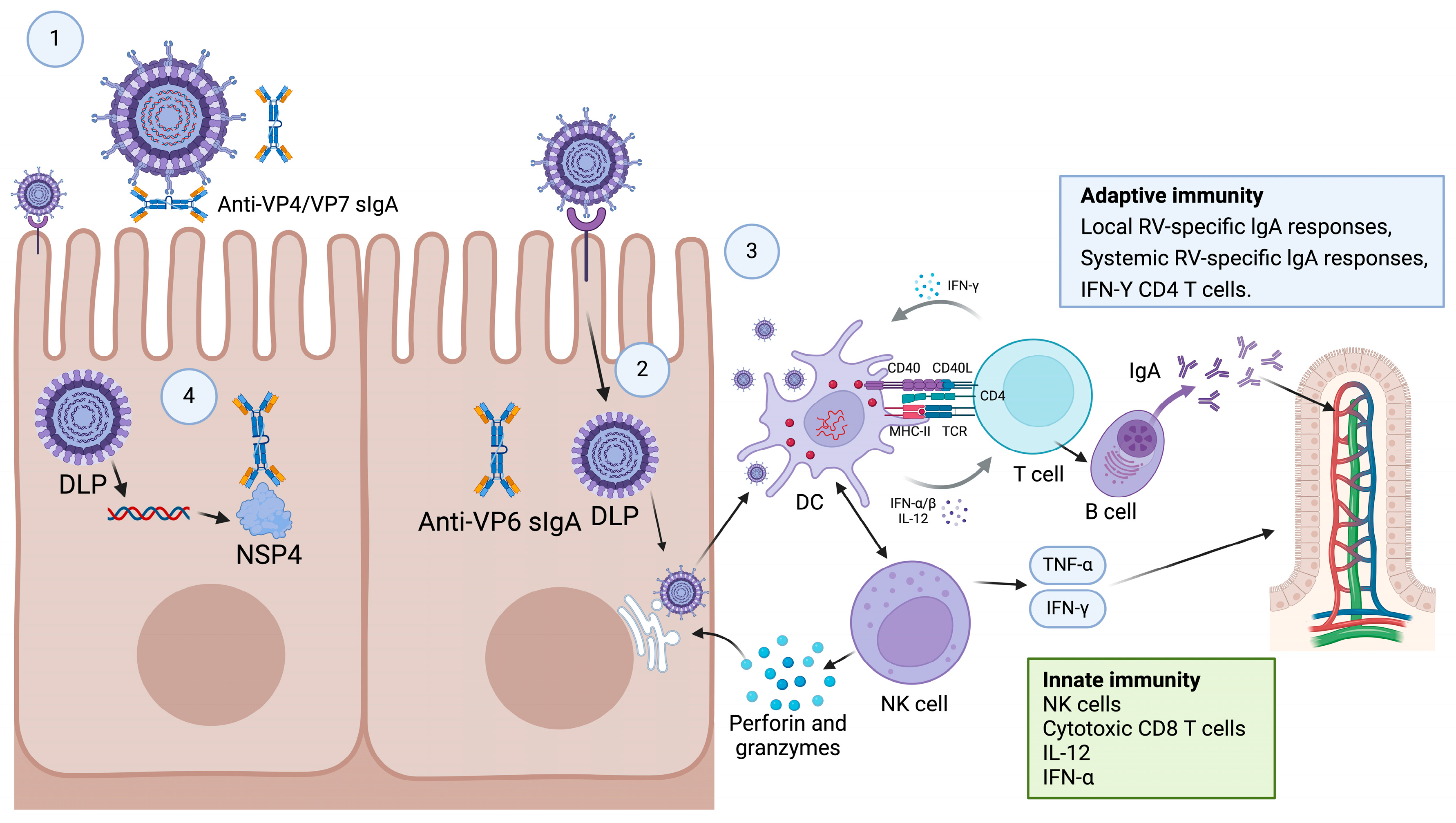 Microorganisms 13 01579 g002