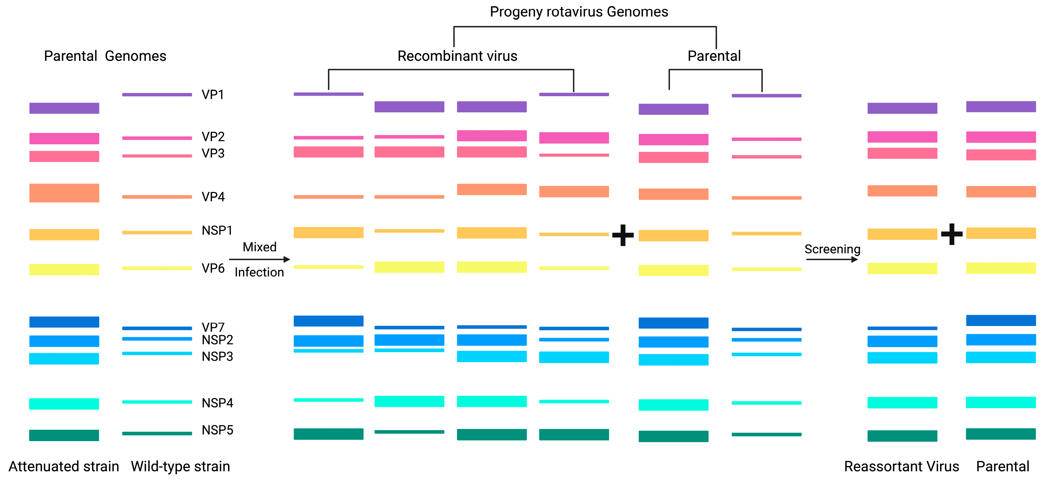 Microorganisms 13 01579 g003