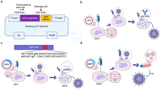 Microorganisms 13 01579 g004
