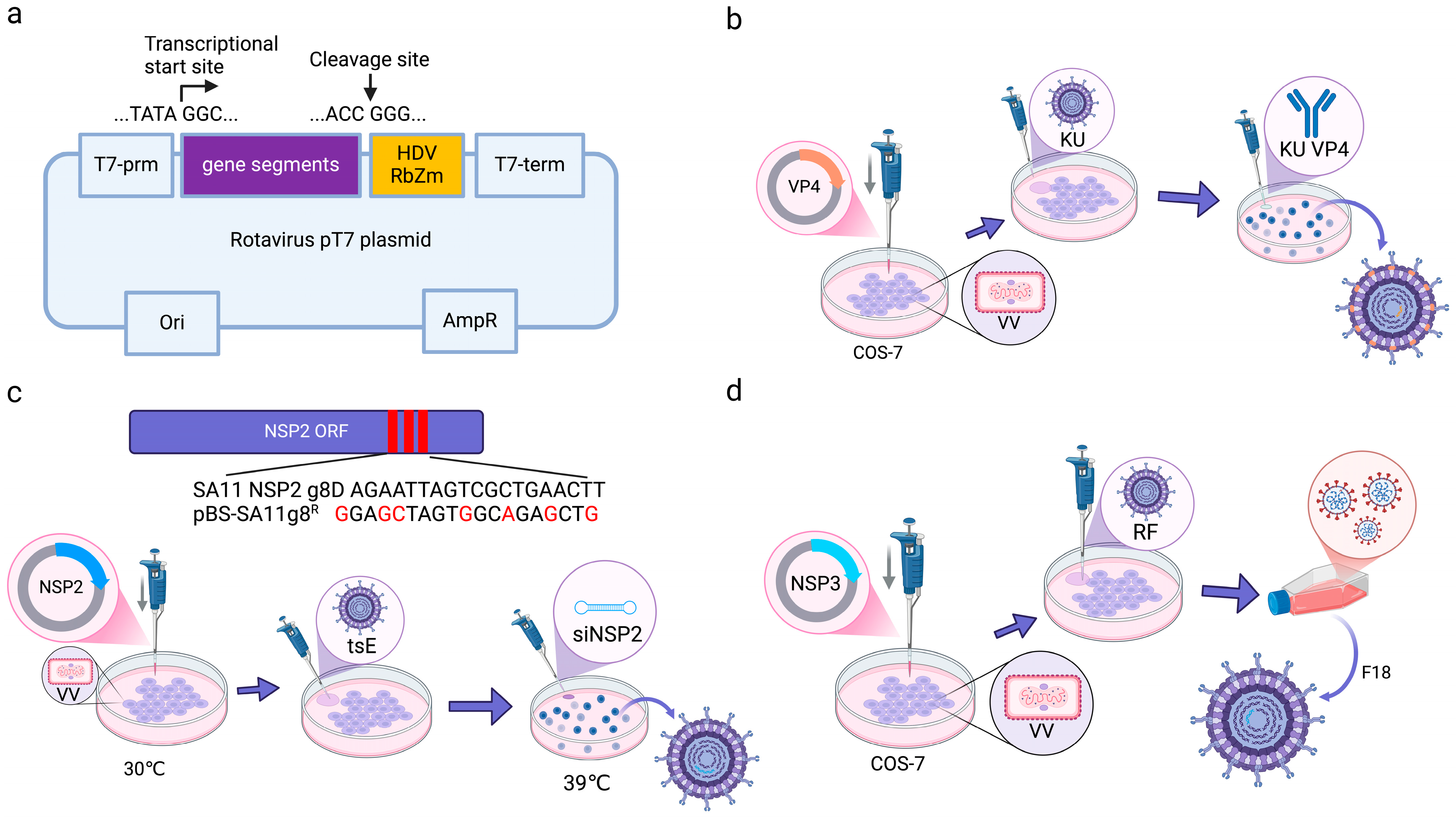 Microorganisms 13 01579 g004