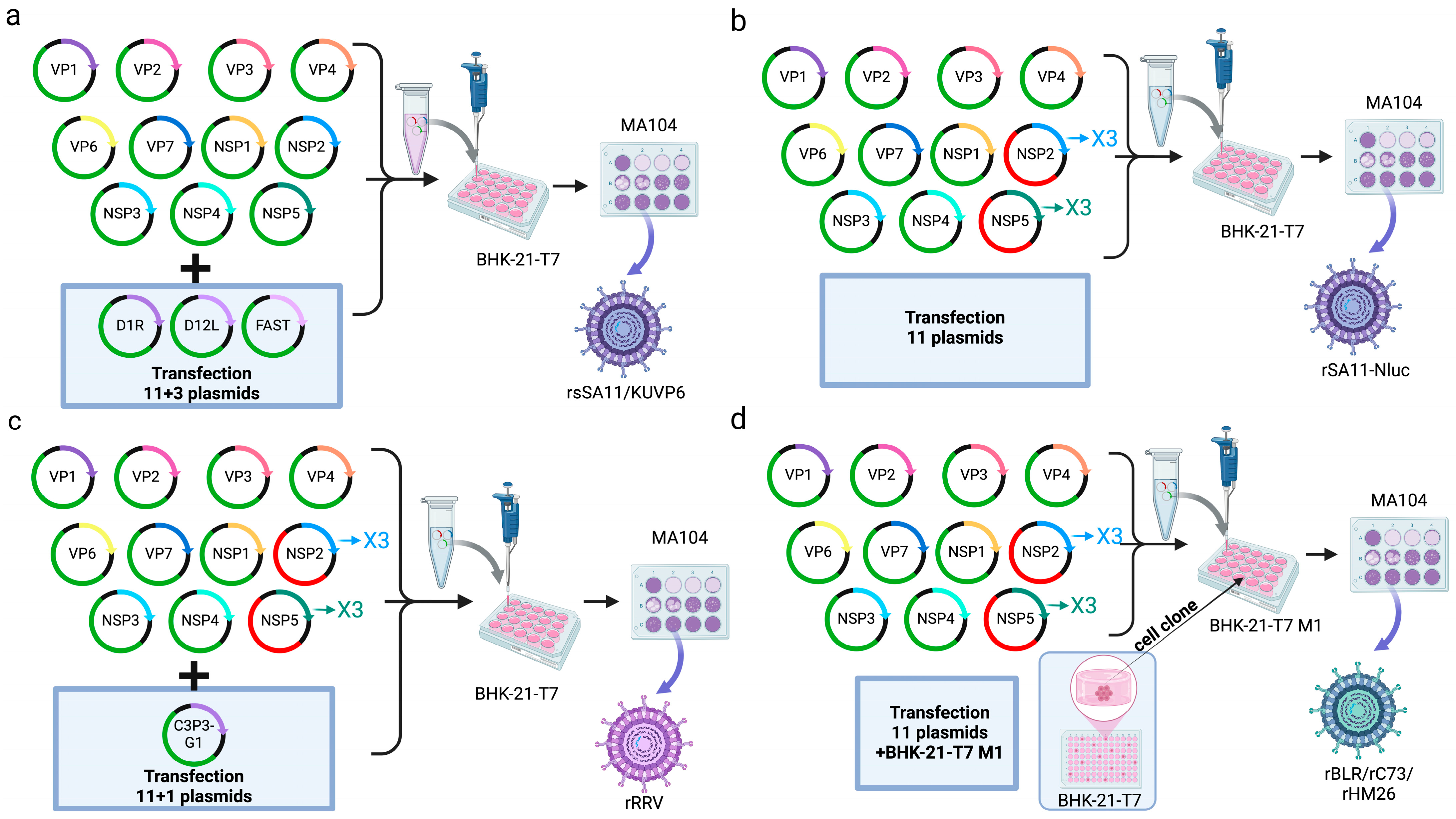 Microorganisms 13 01579 g005