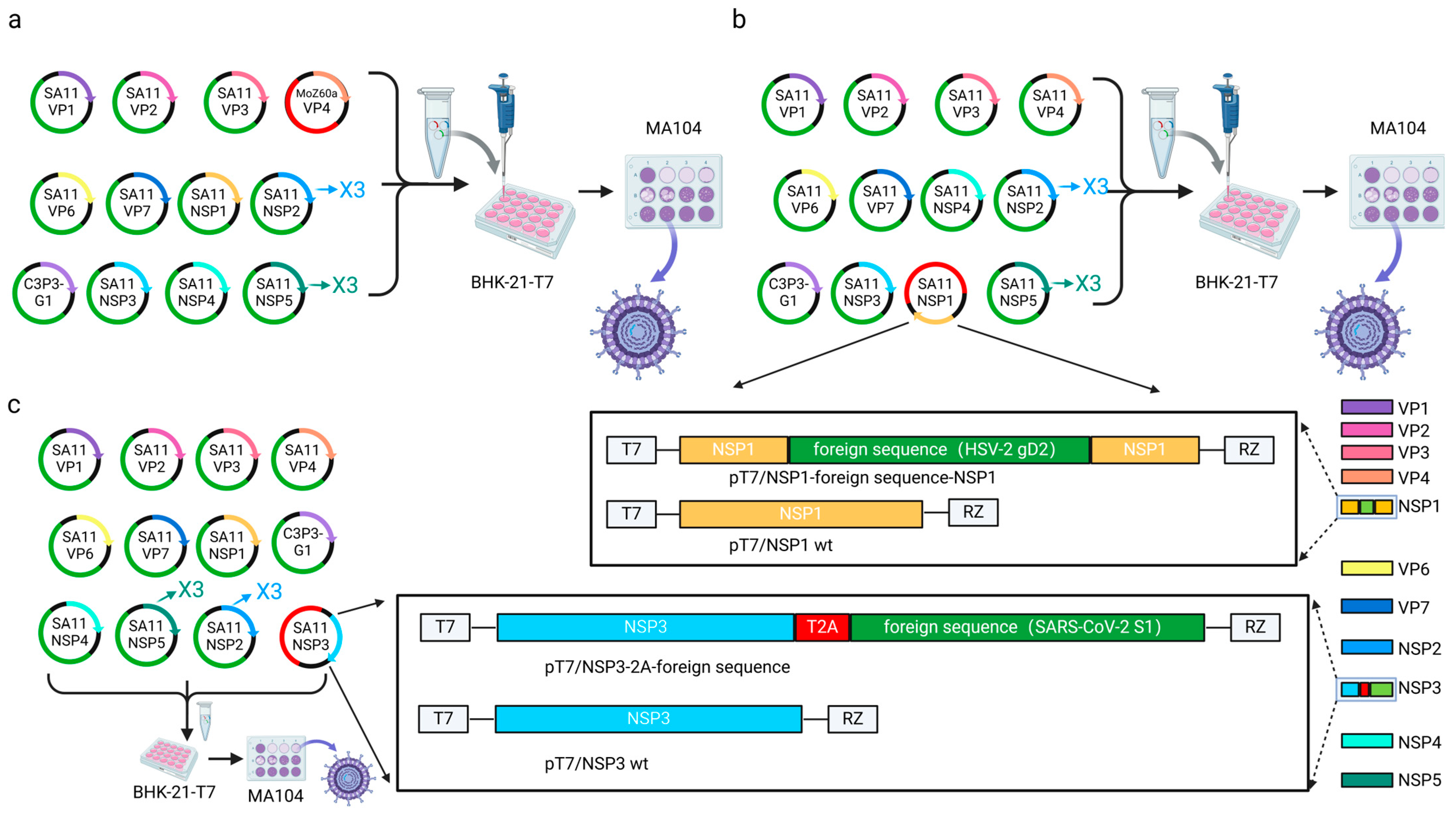 Microorganisms 13 01579 g006