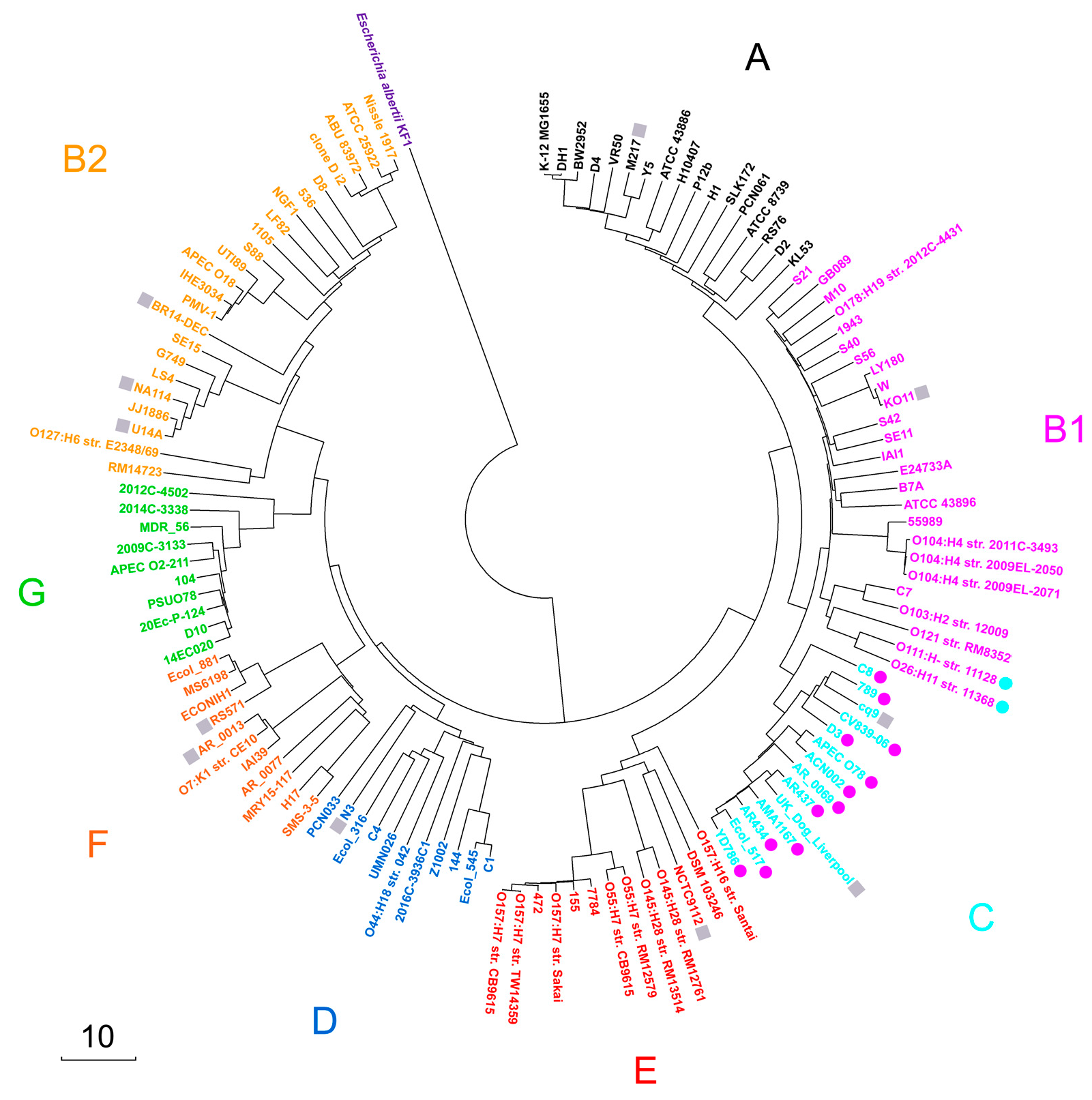 Microorganisms 13 01584 g001