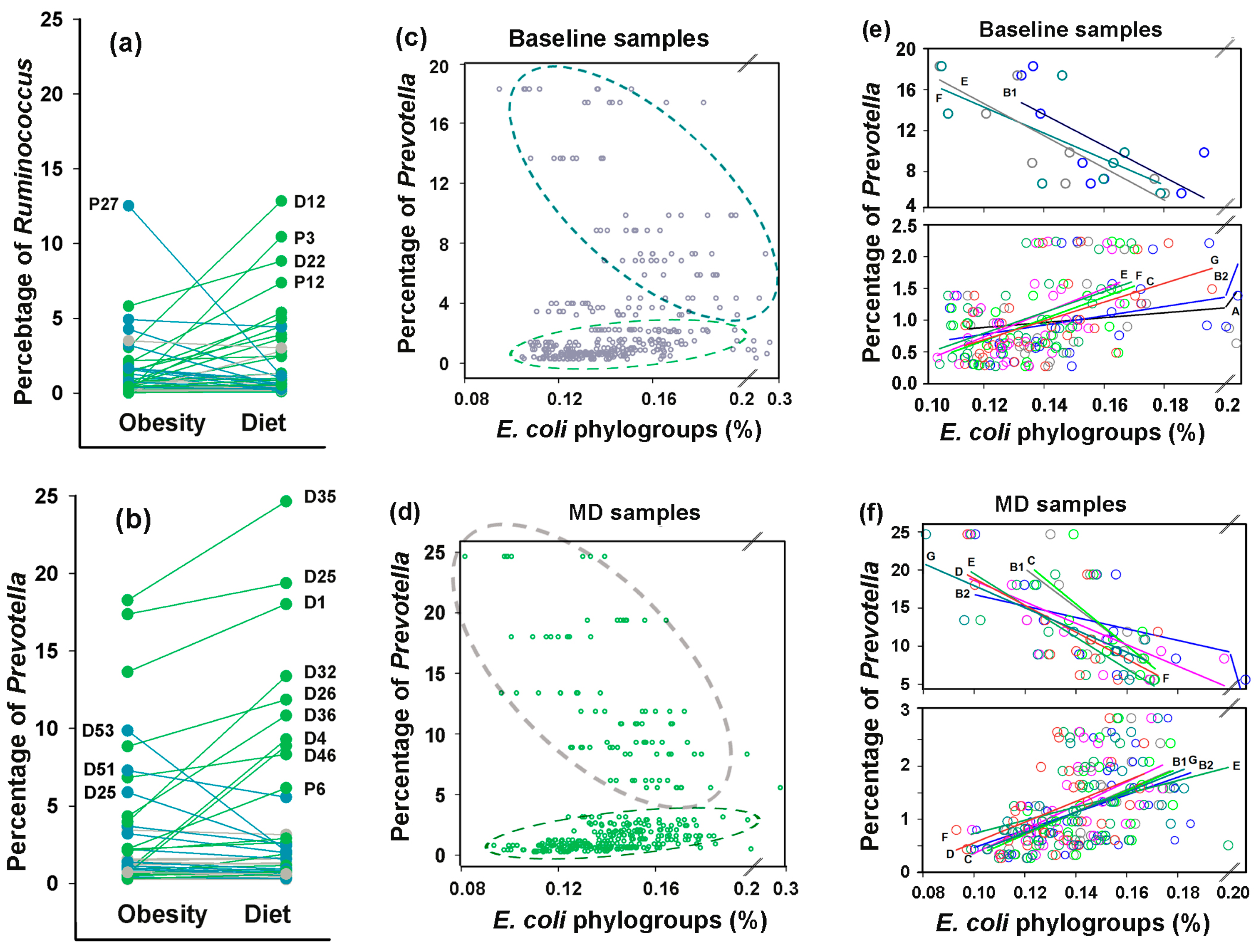 Microorganisms 13 01584 g010