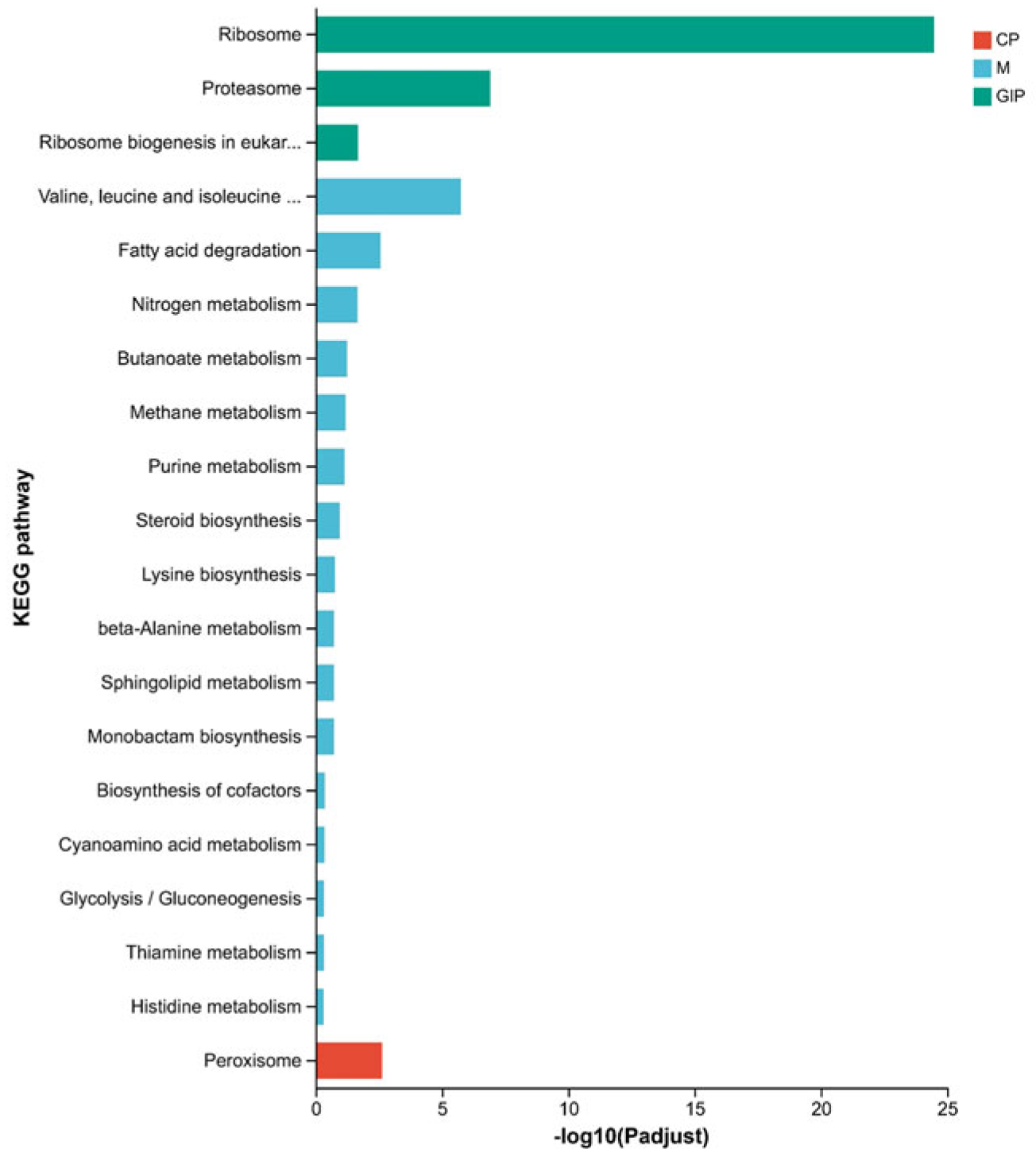Microorganisms 13 01588 g005