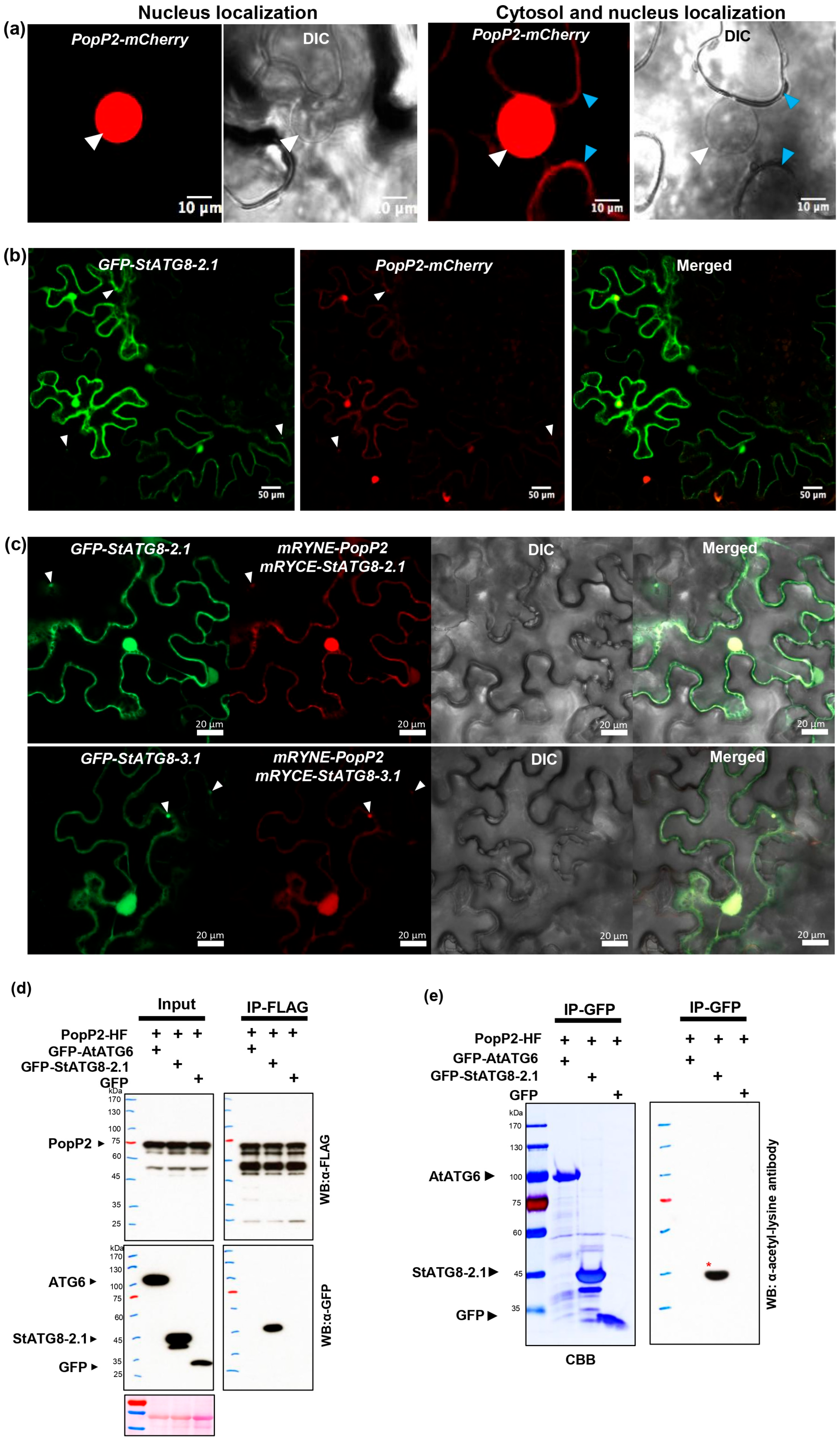 Microorganisms 13 01589 g005