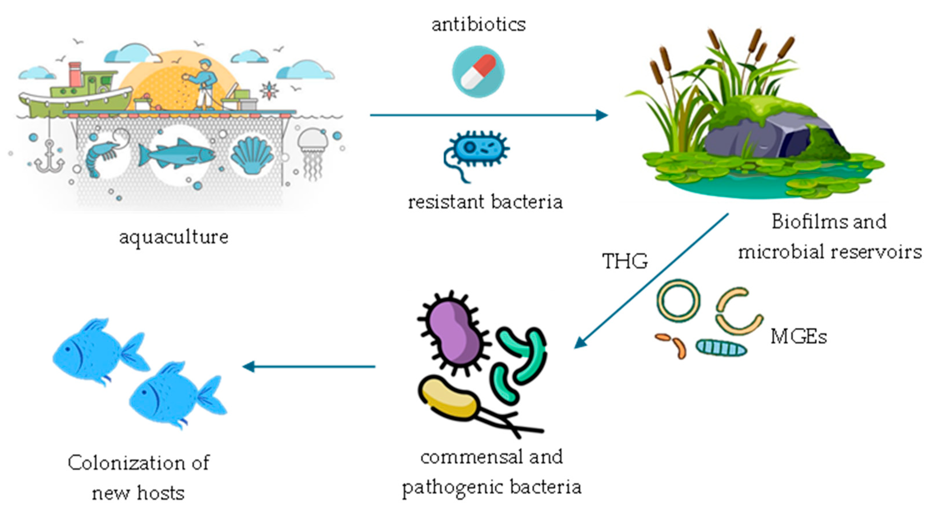 Microorganisms 13 01591 g001