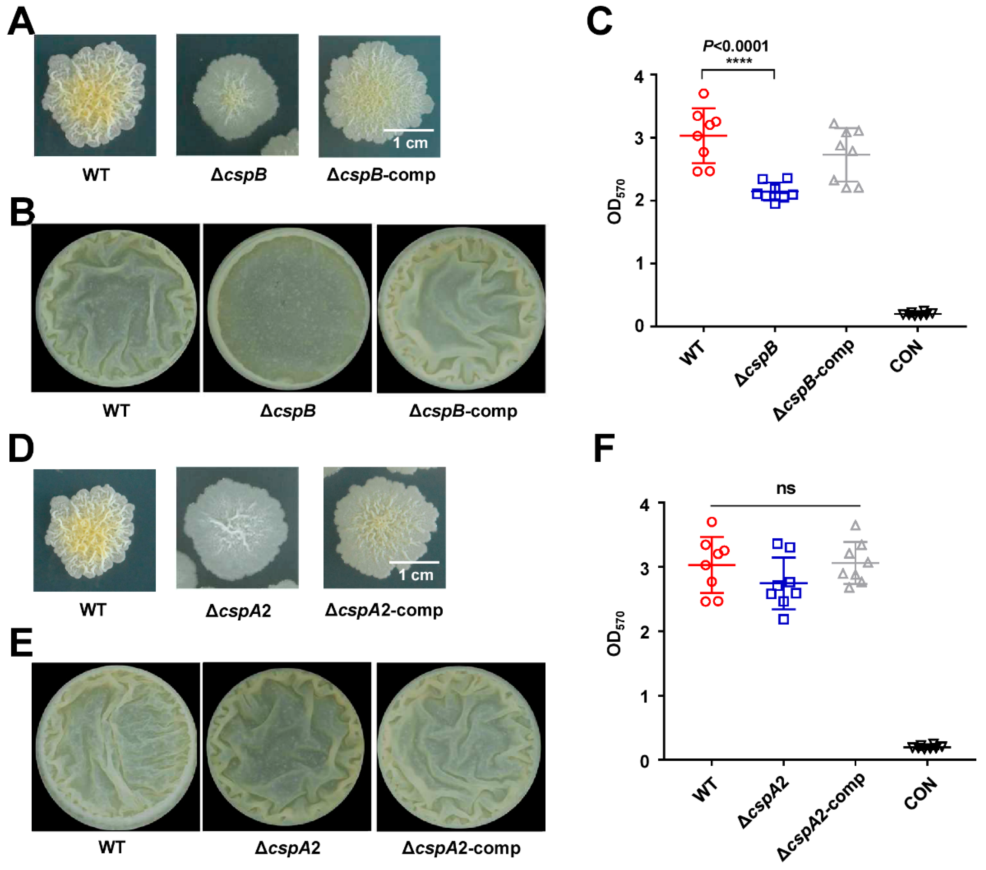Microorganisms 13 01597 g005 Microorganisms 13 01597 g005