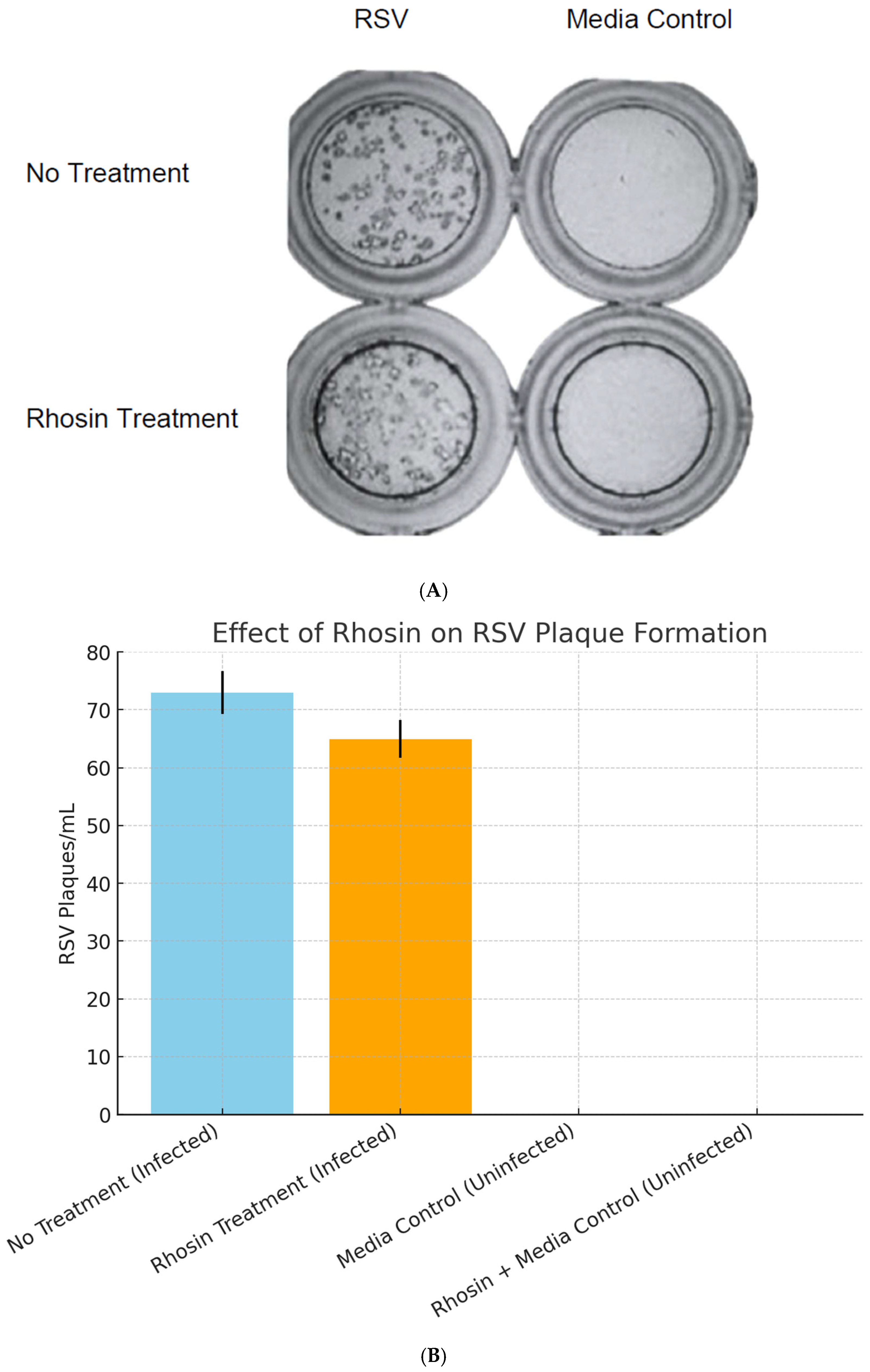 Microorganisms 13 01599 g005