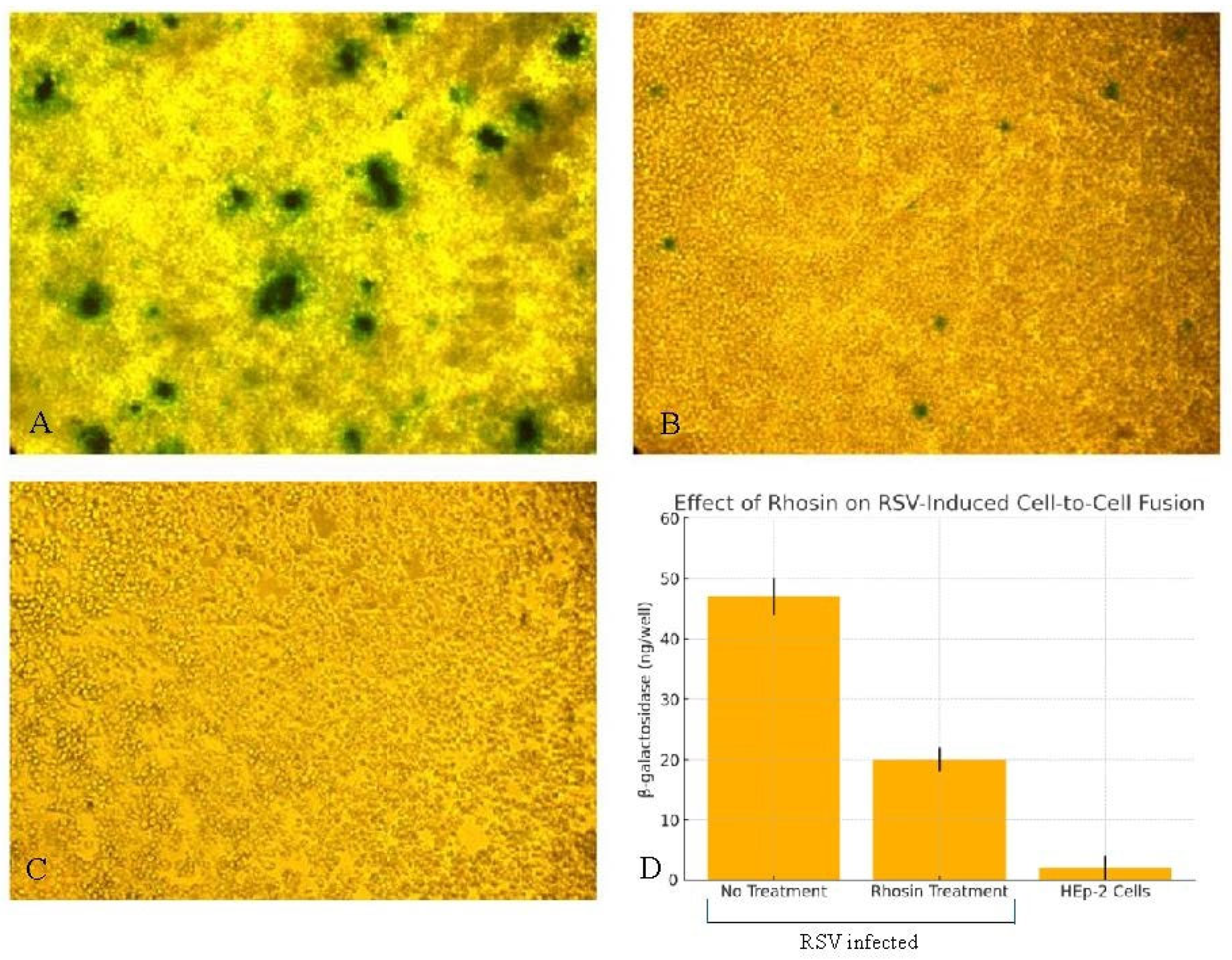 Microorganisms 13 01599 g006