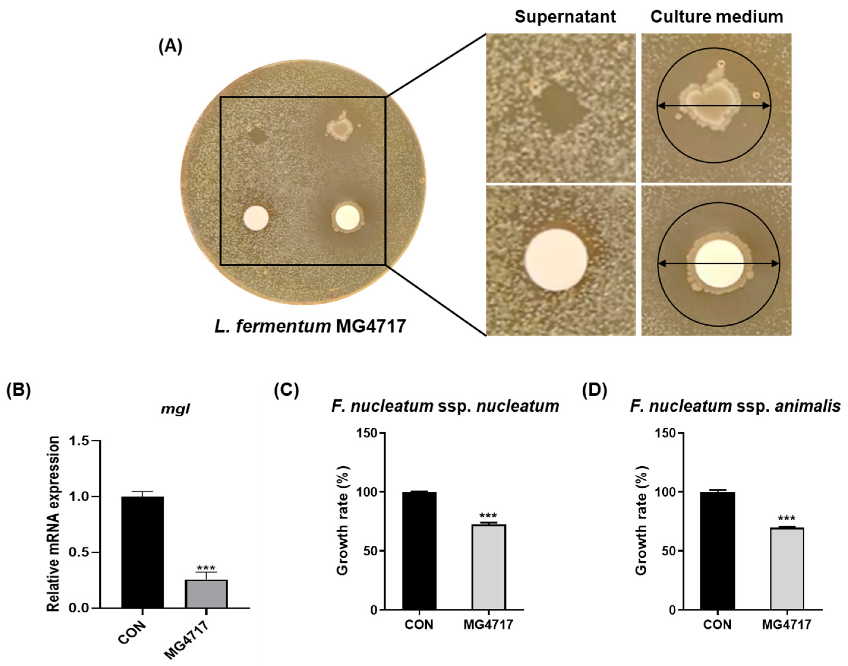 Microorganisms 13 01600 g002