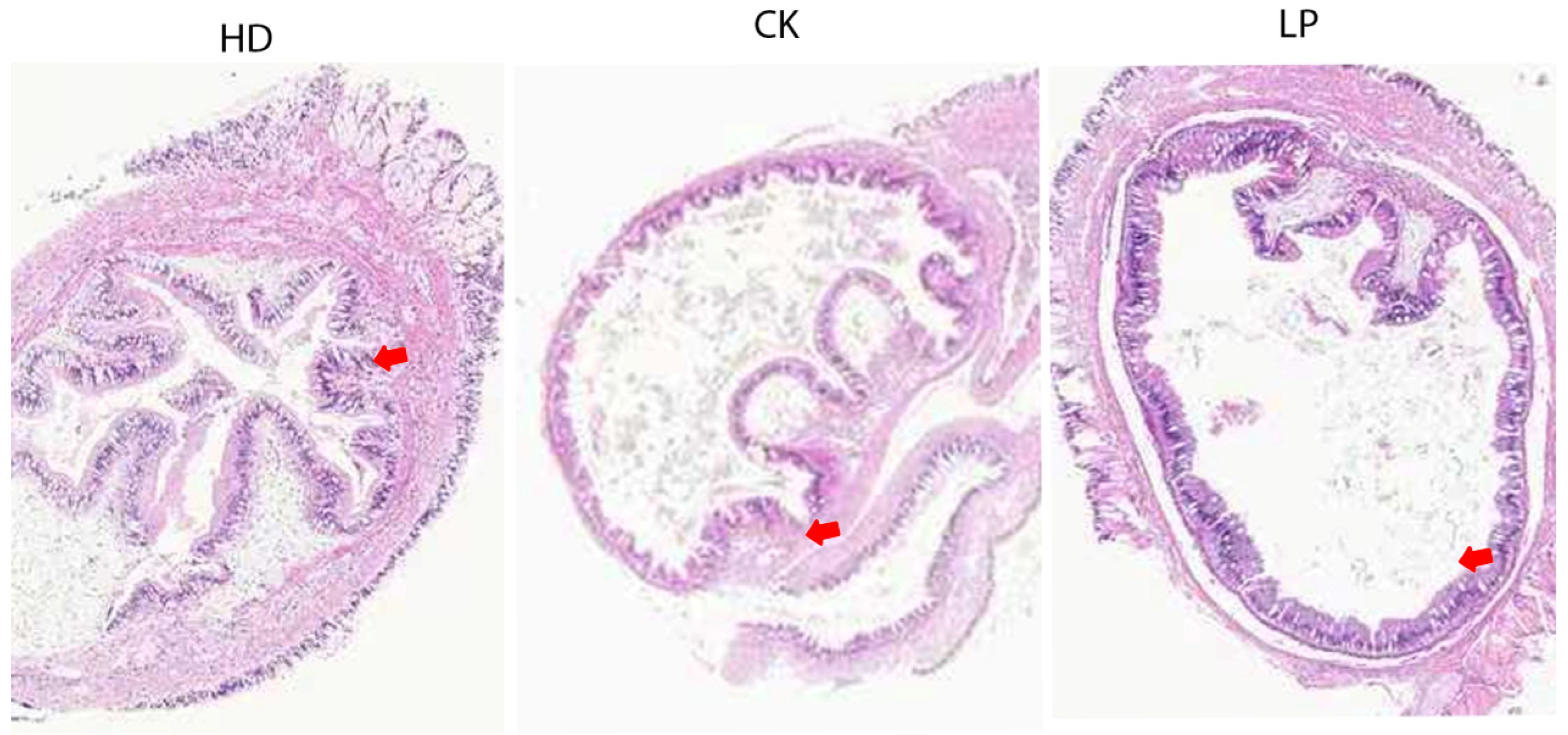 Microorganisms 13 01603 g002