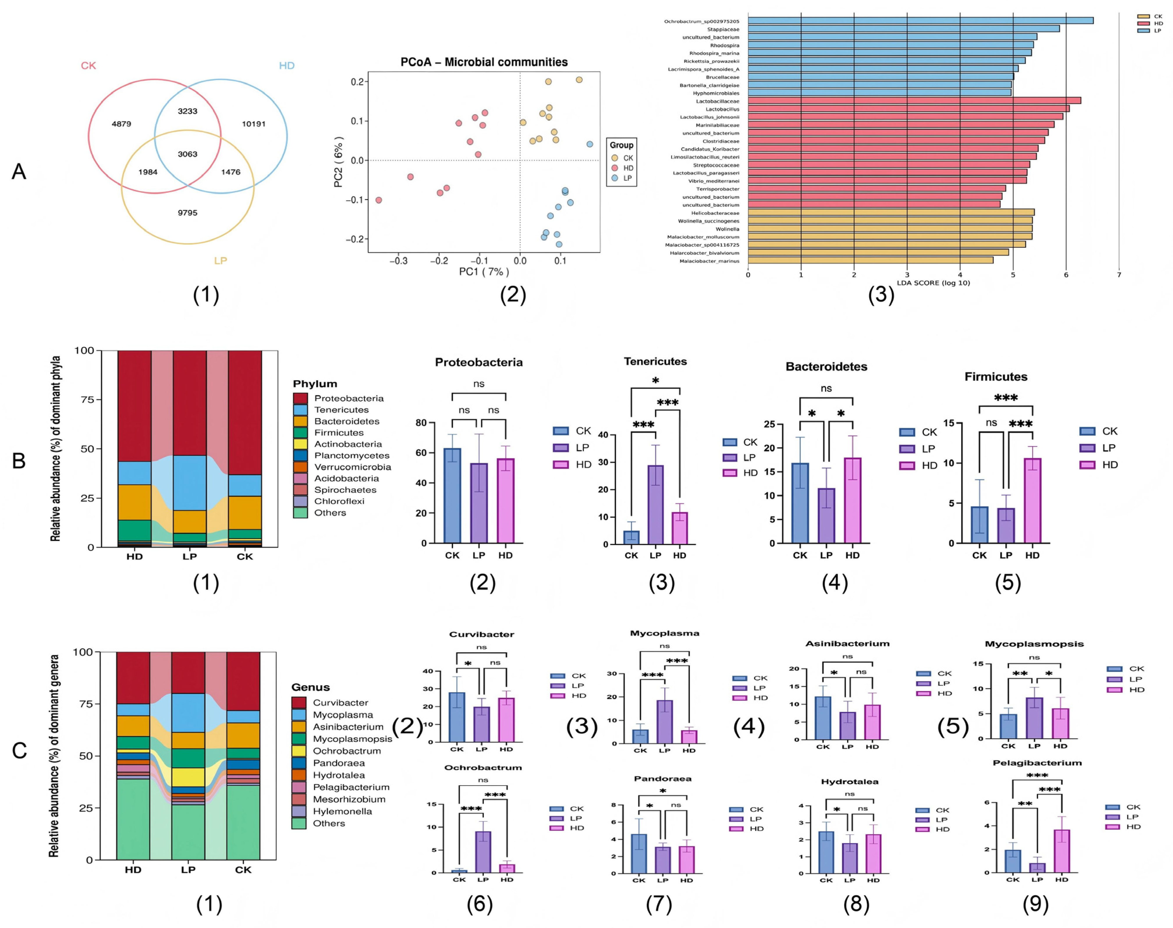Microorganisms 13 01603 g004