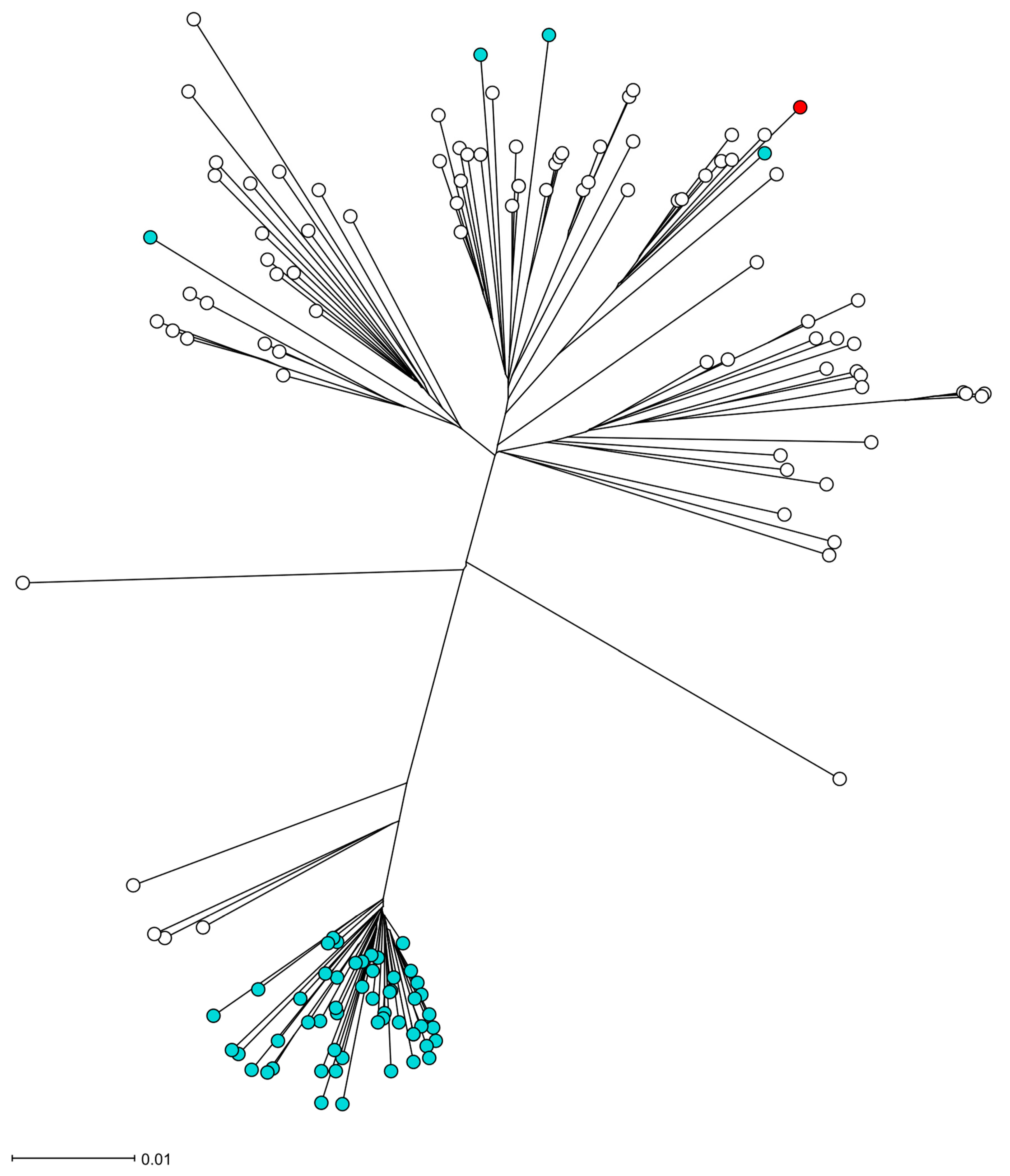 Microorganisms 13 01618 g002