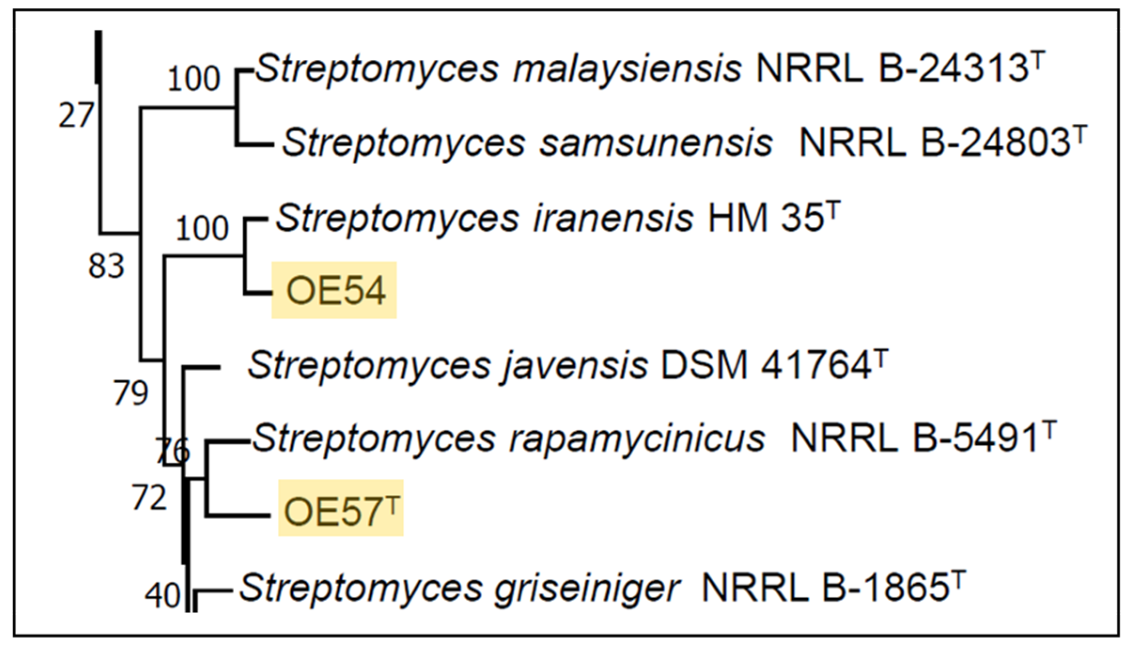 Microorganisms 13 01622 g003