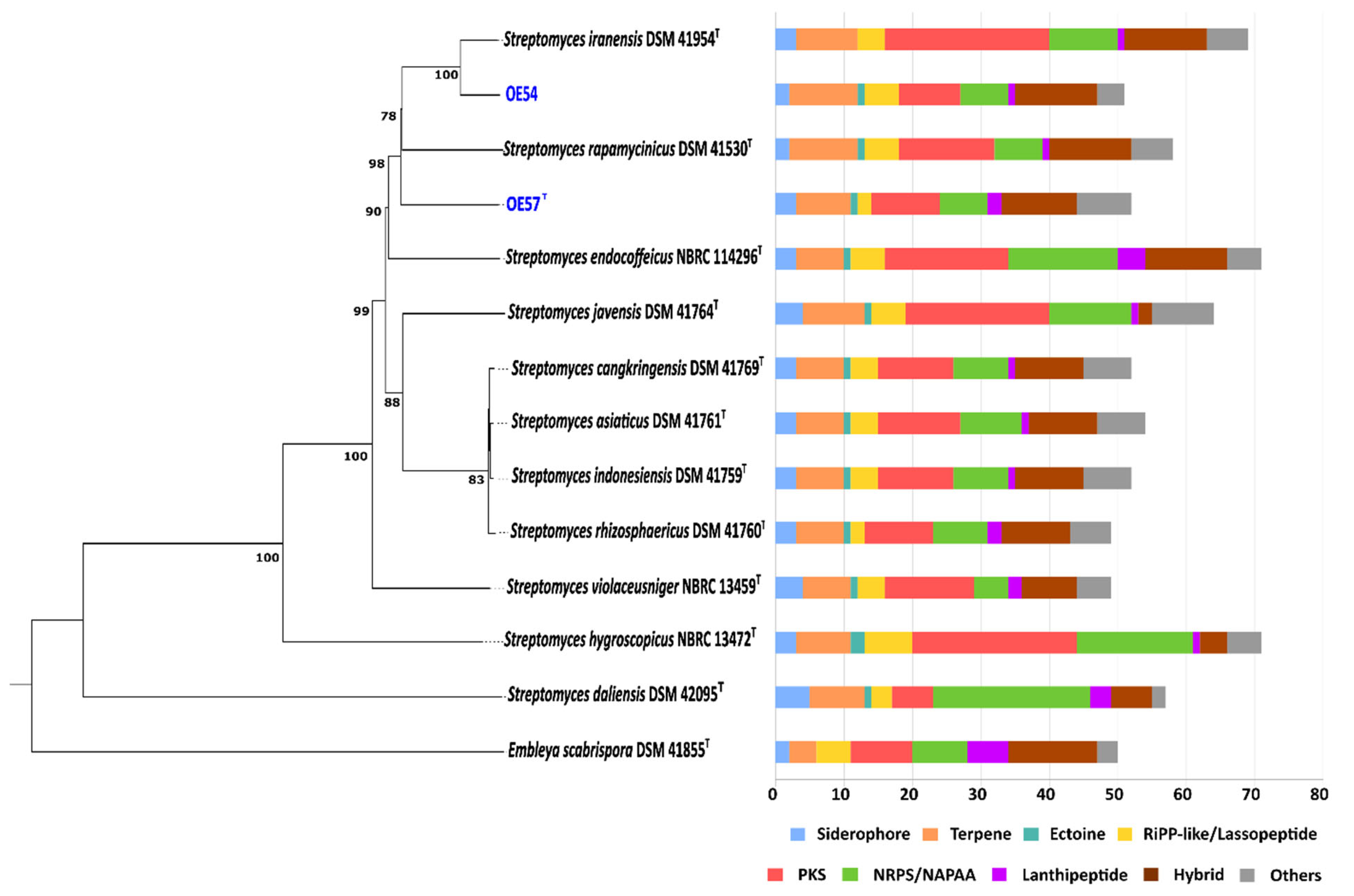 Microorganisms 13 01622 g004