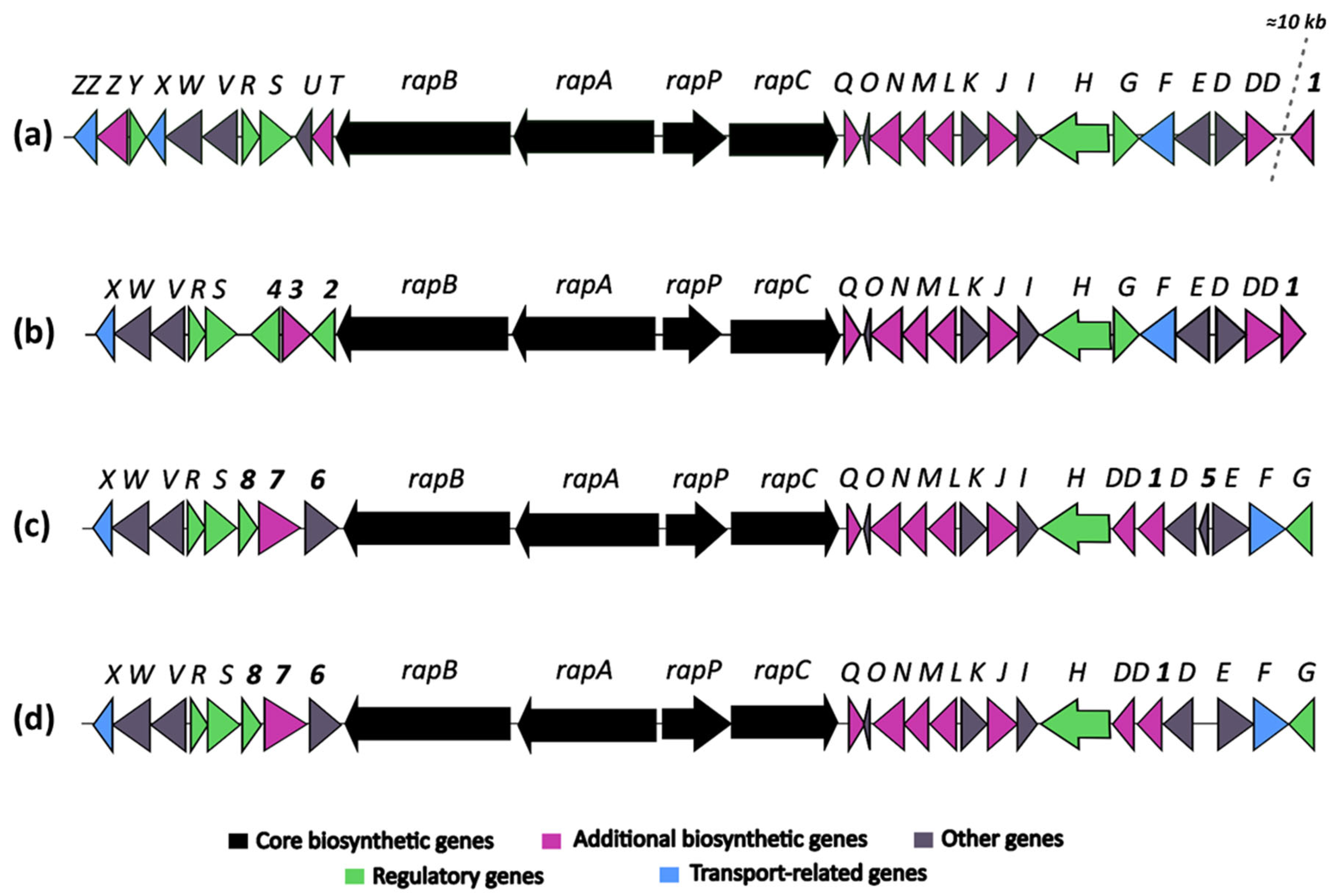 Microorganisms 13 01622 g005