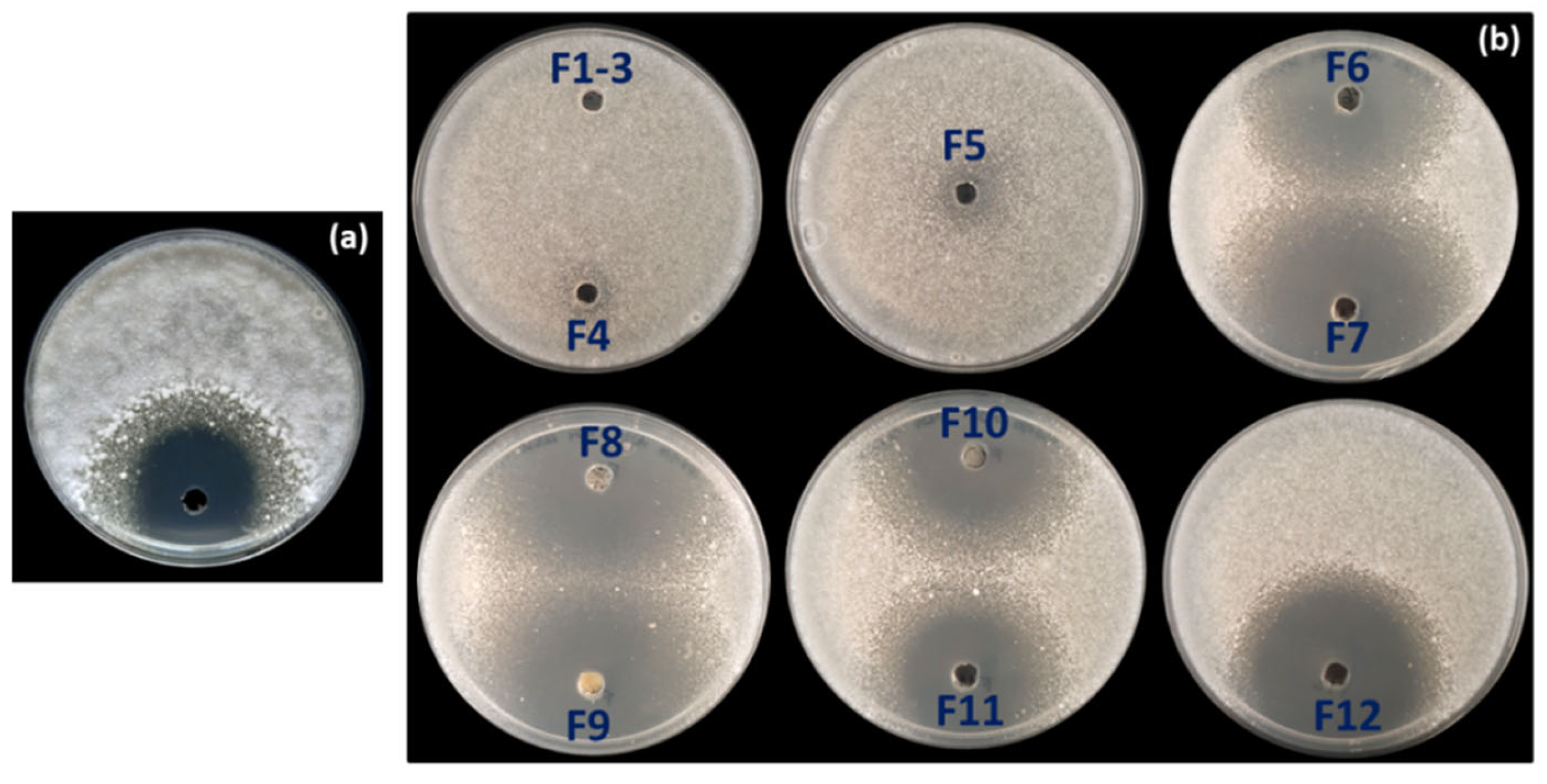 Microorganisms 13 01622 g006