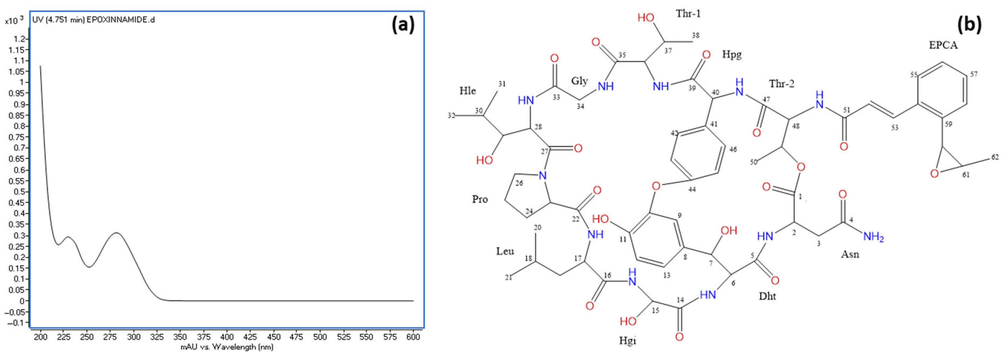 Microorganisms 13 01622 g008