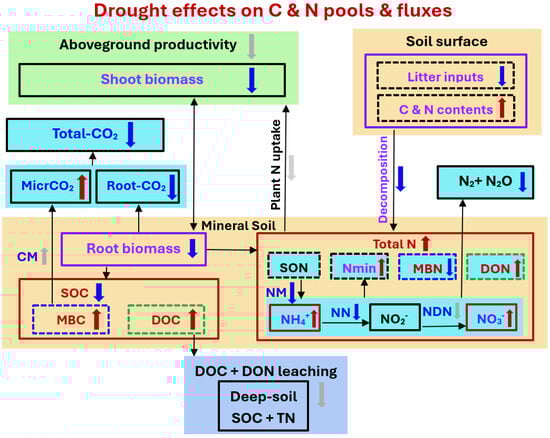 Microorganisms 13 01625 g001