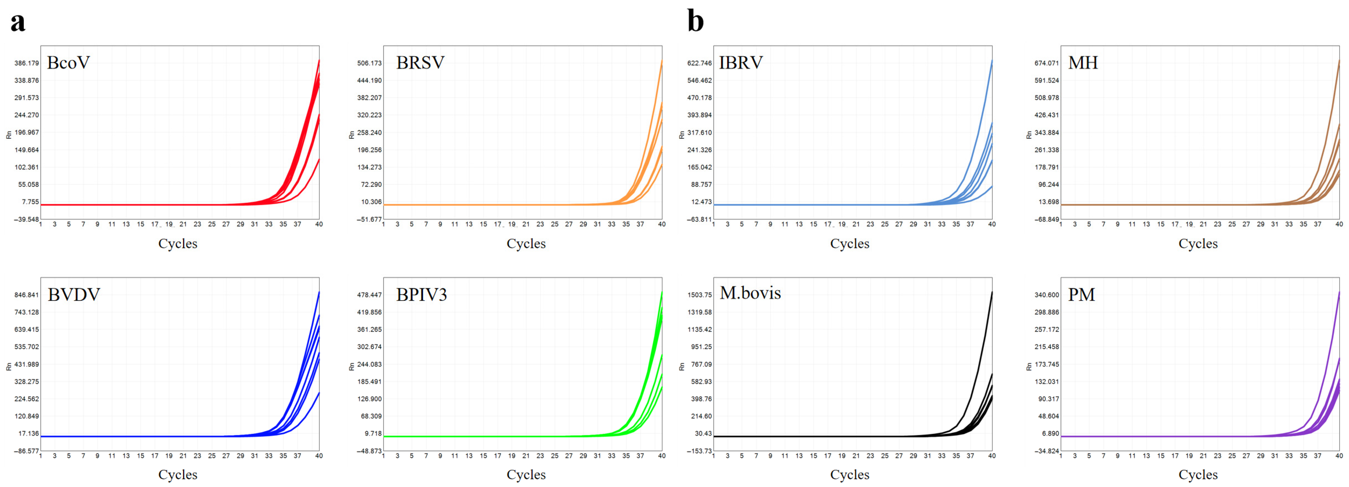Microorganisms 13 01629 g007