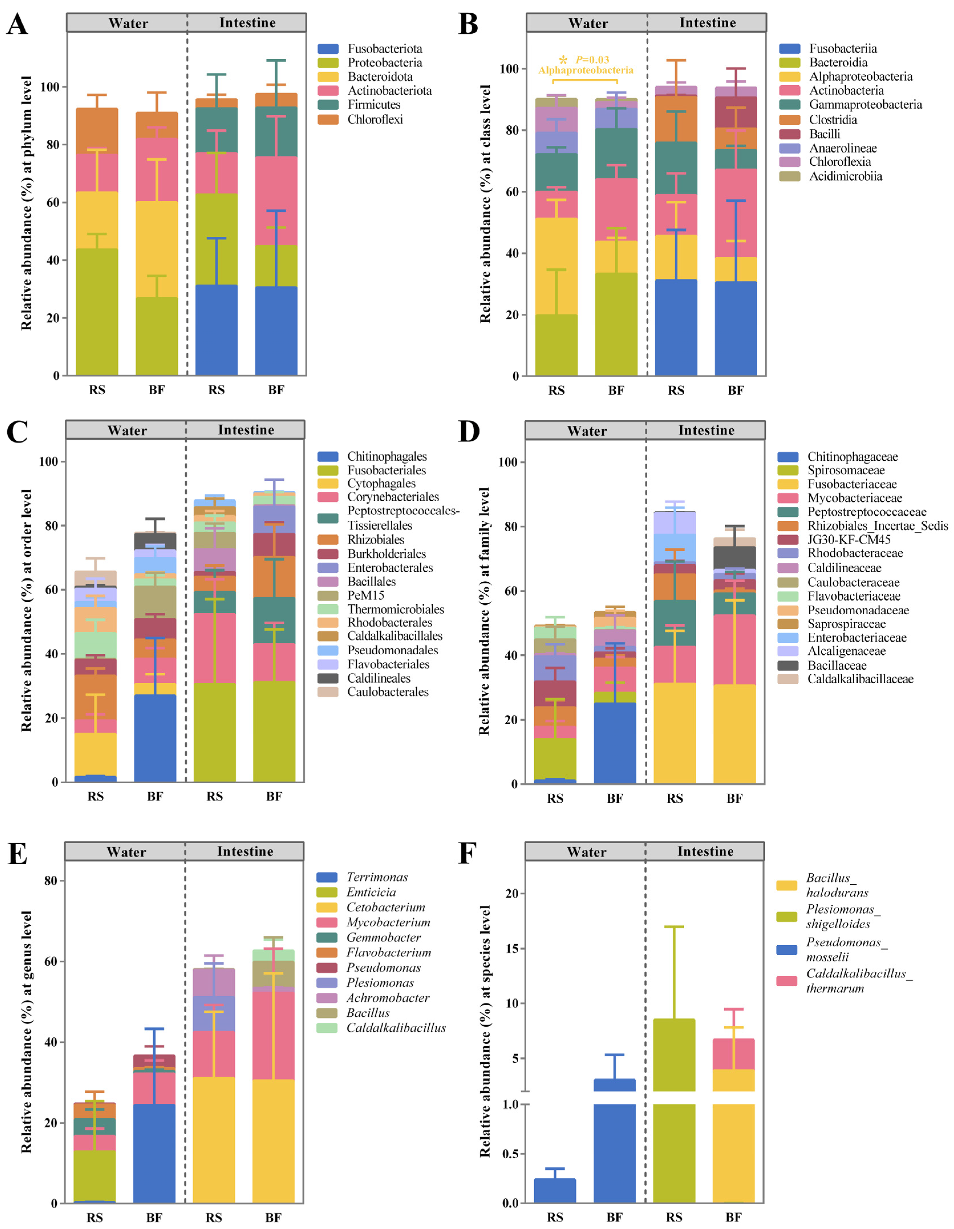 Microorganisms 13 01631 g004