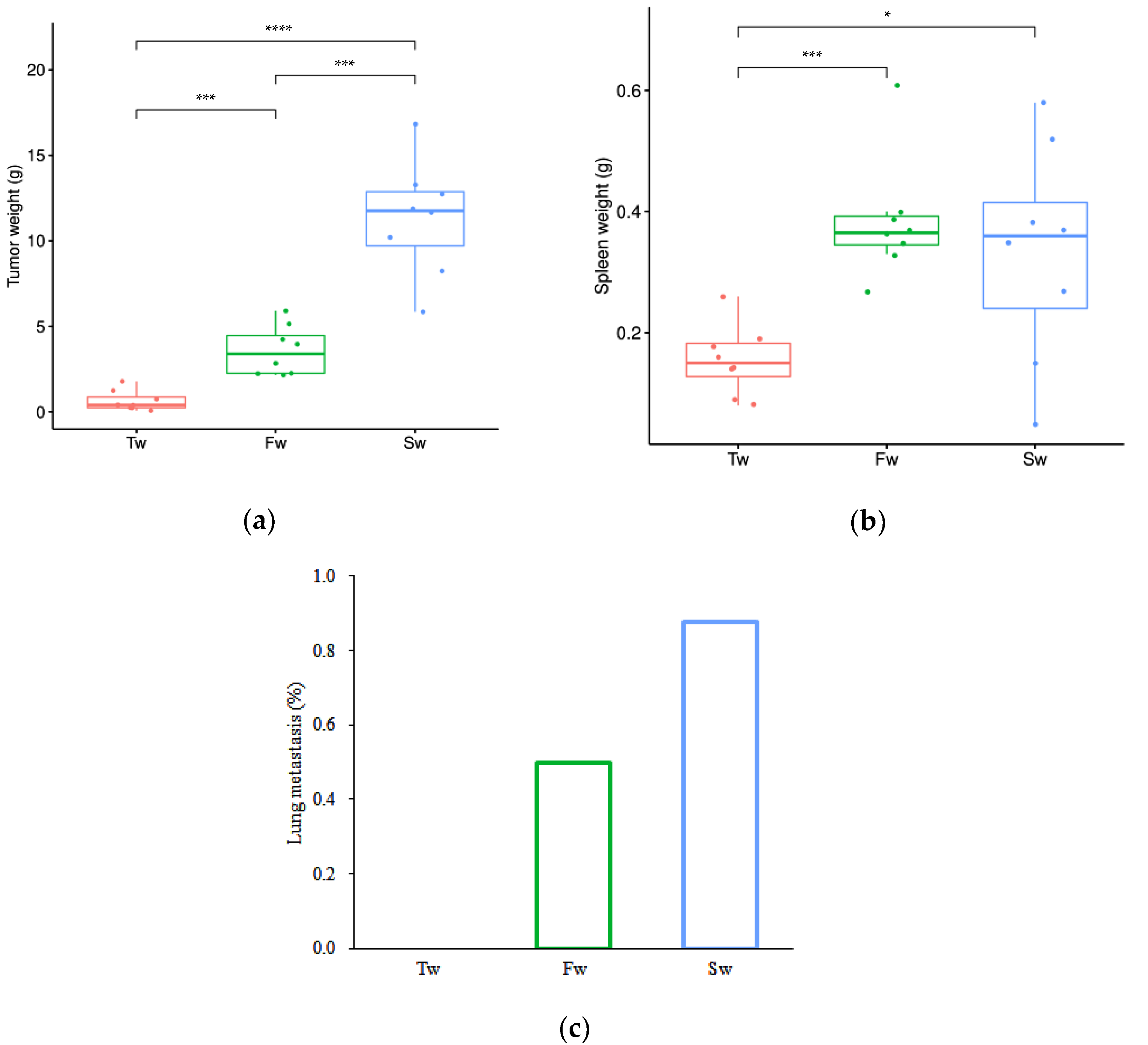 Microorganisms 13 01632 g001