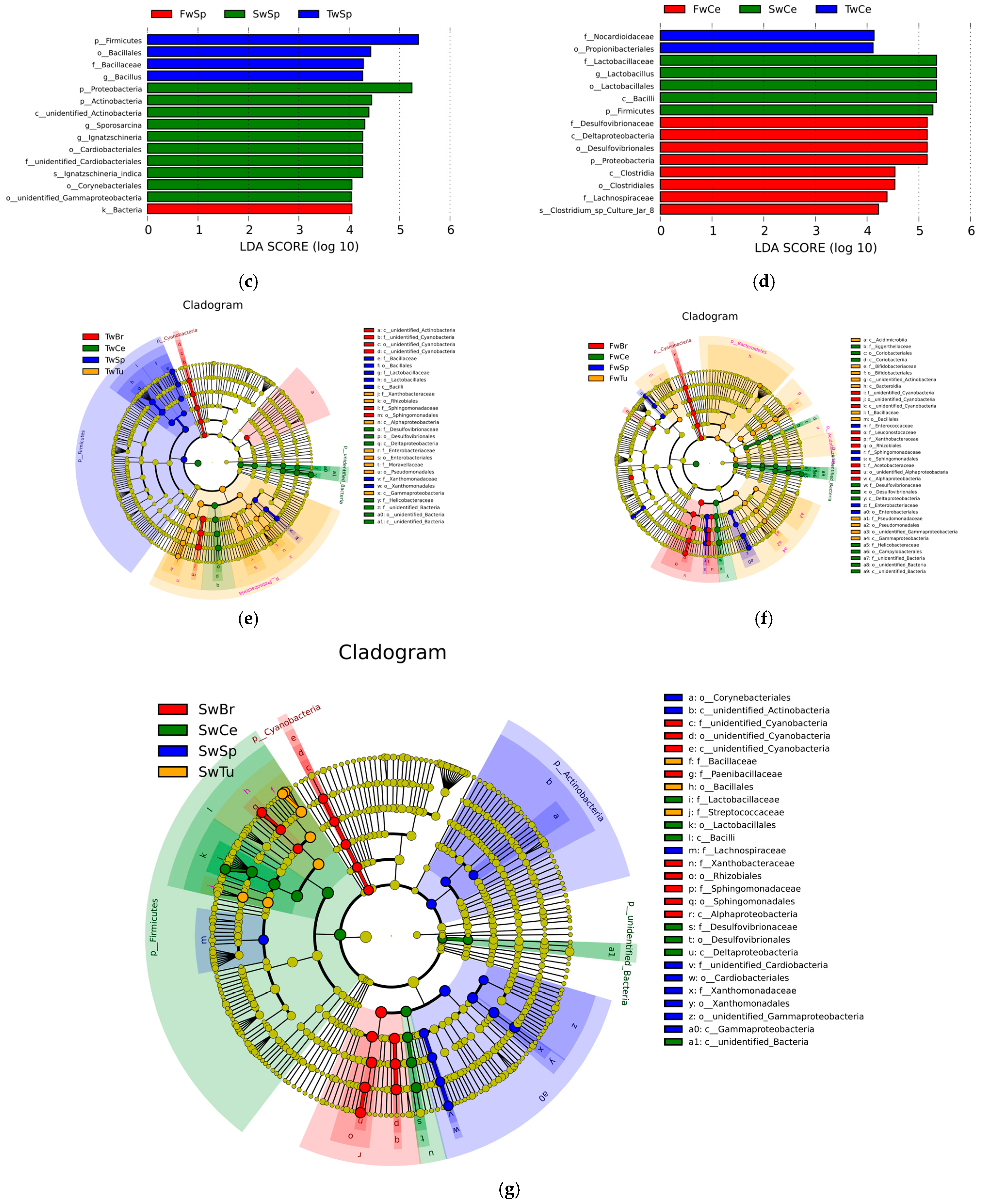 Microorganisms 13 01632 g006b