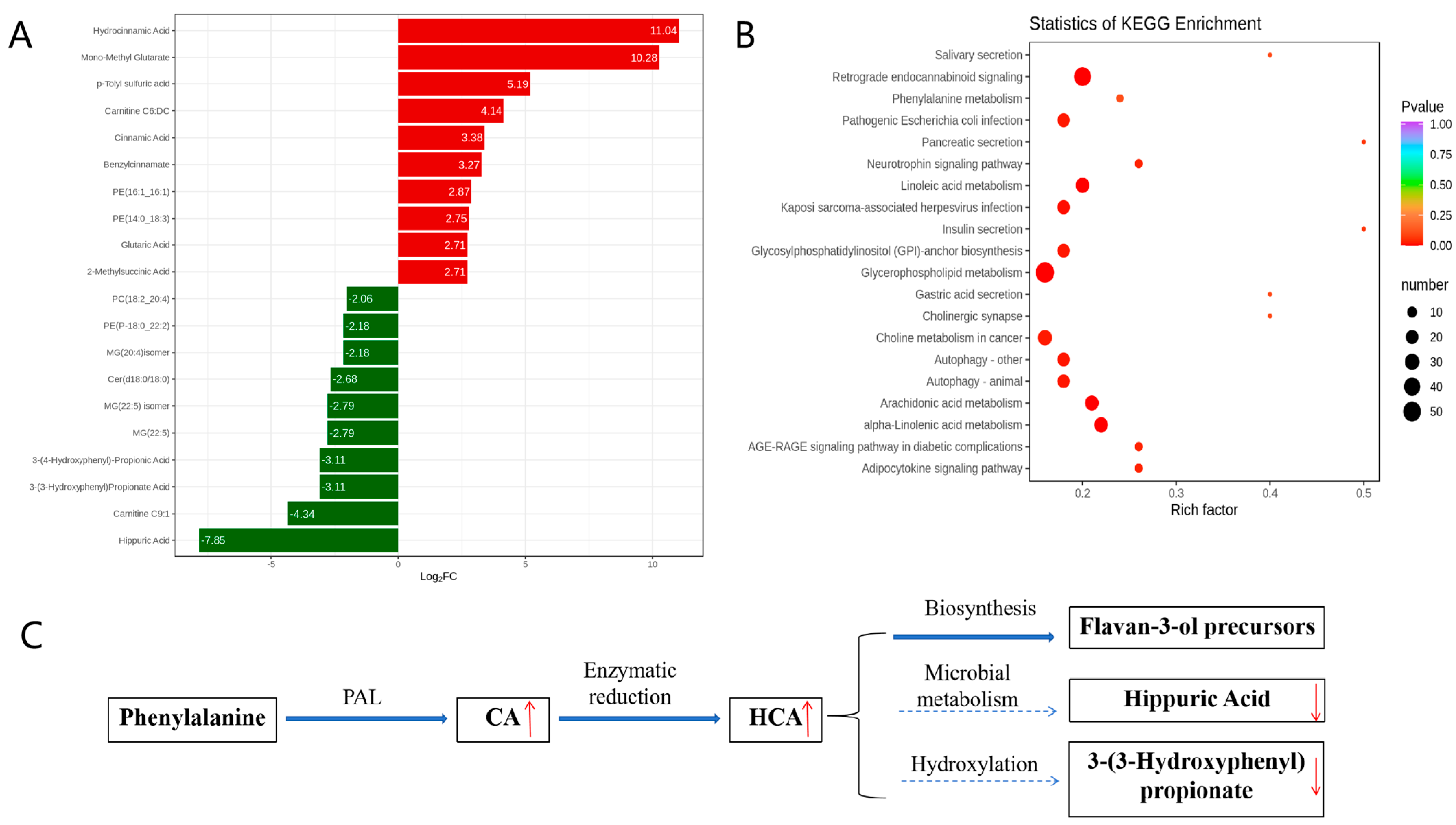 Microorganisms 13 01633 g003