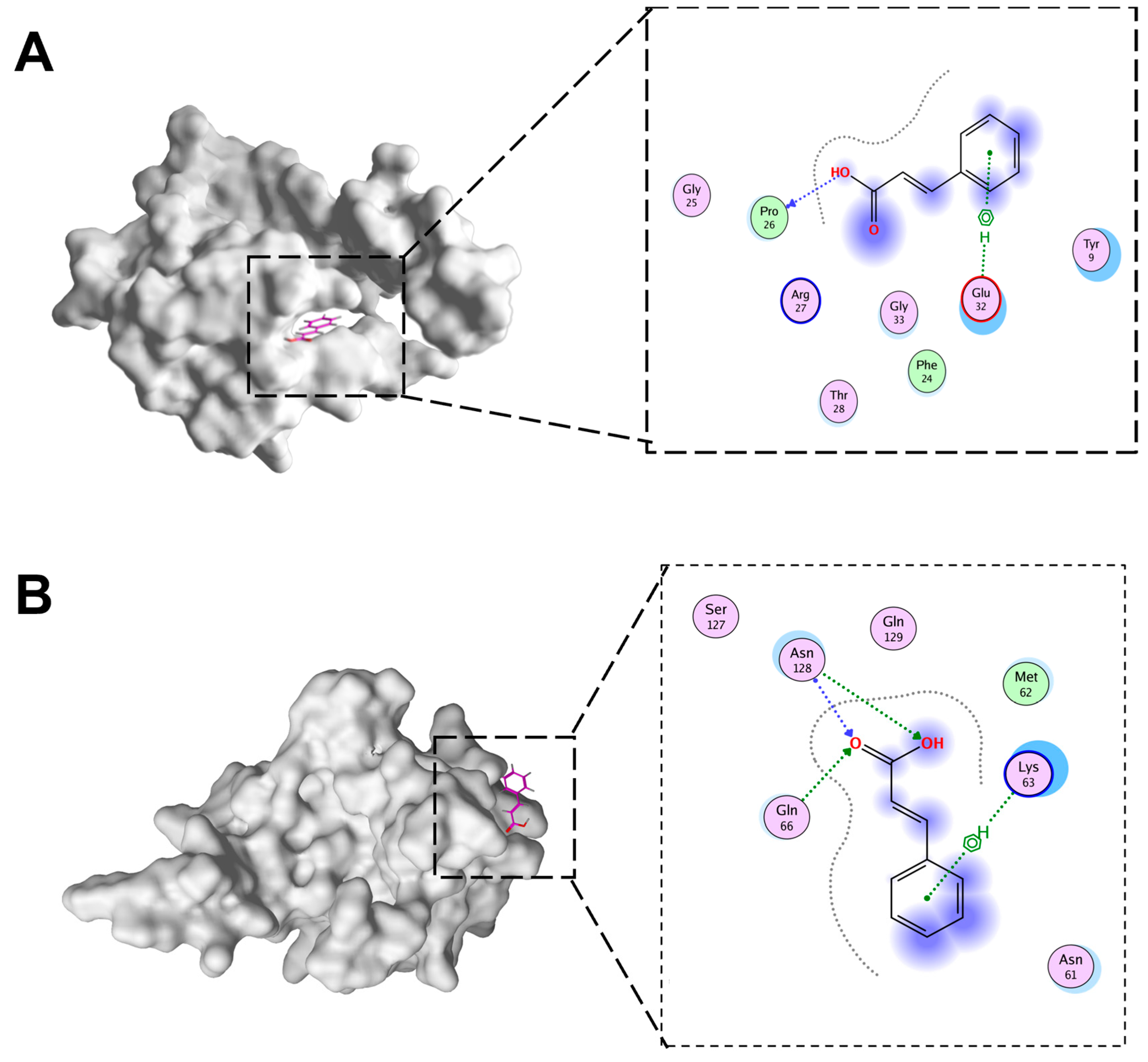 Microorganisms 13 01633 g007