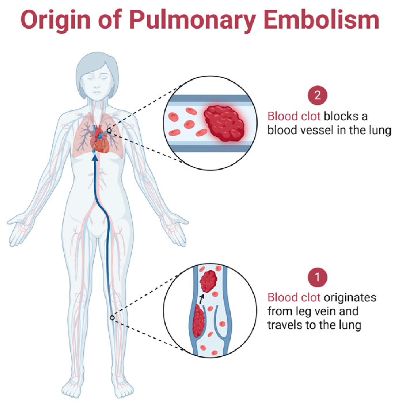 Microorganisms 13 01634 g001