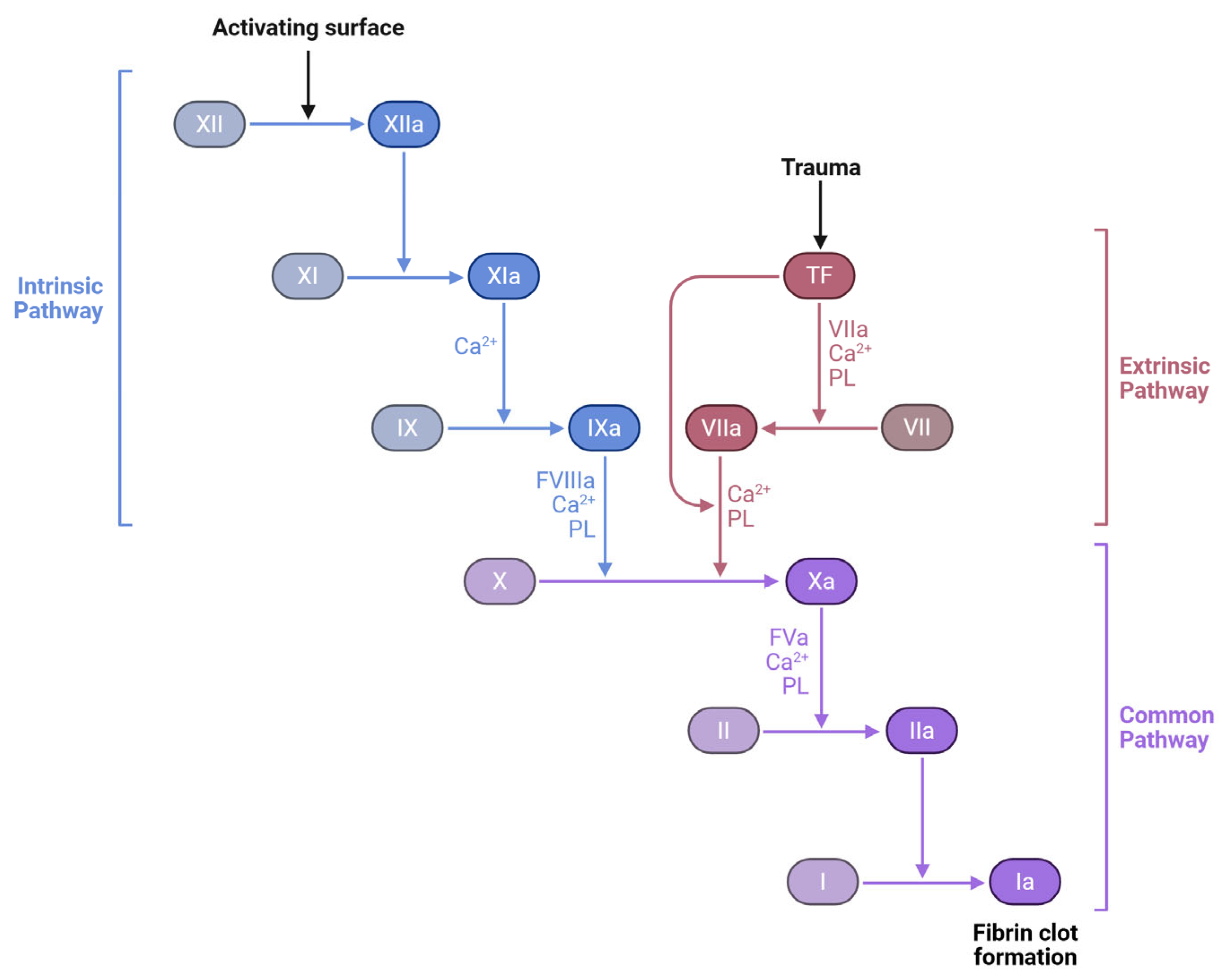 Microorganisms 13 01634 g002