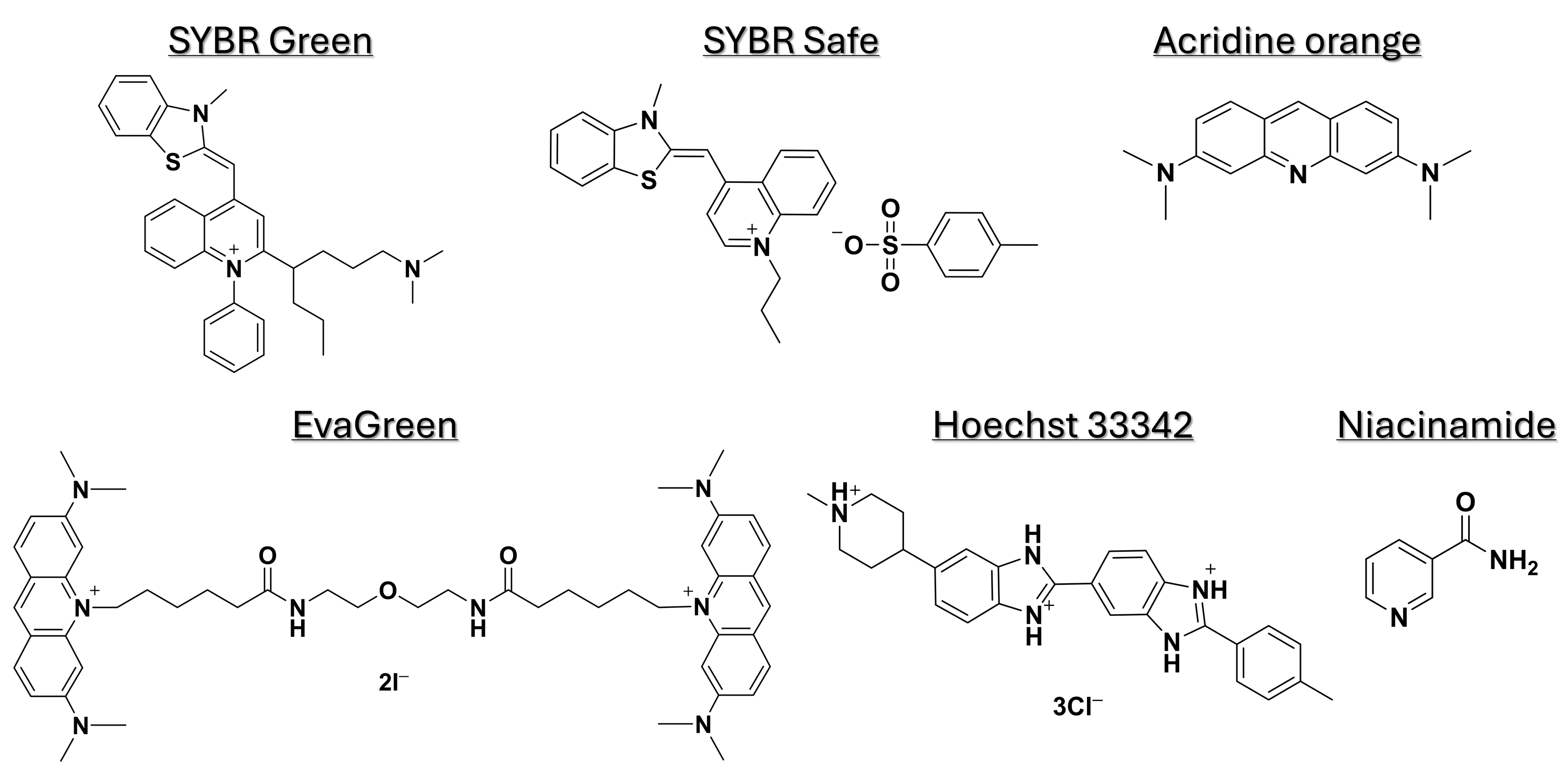 Microorganisms 13 01636 g001