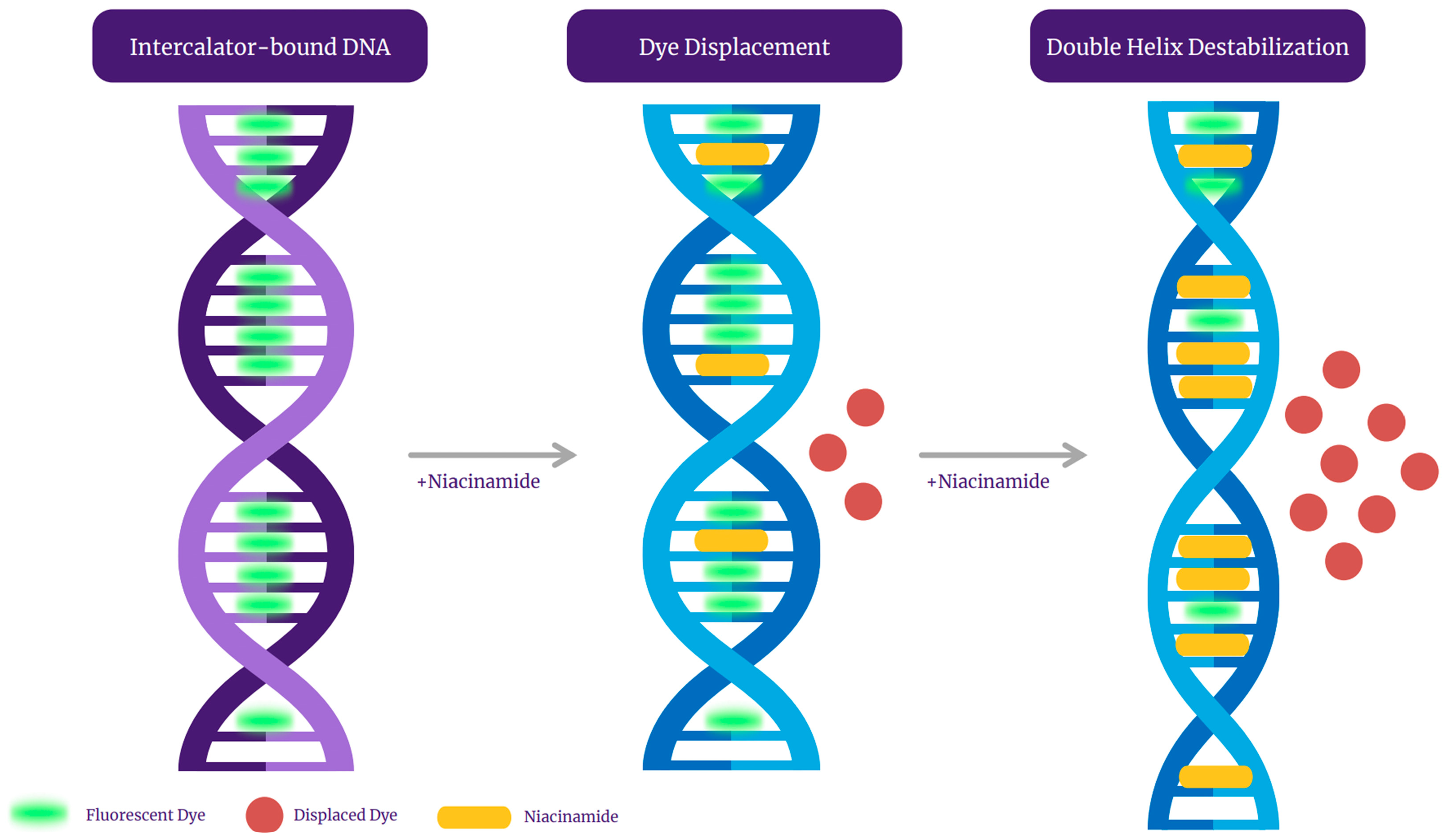 Microorganisms 13 01636 g009