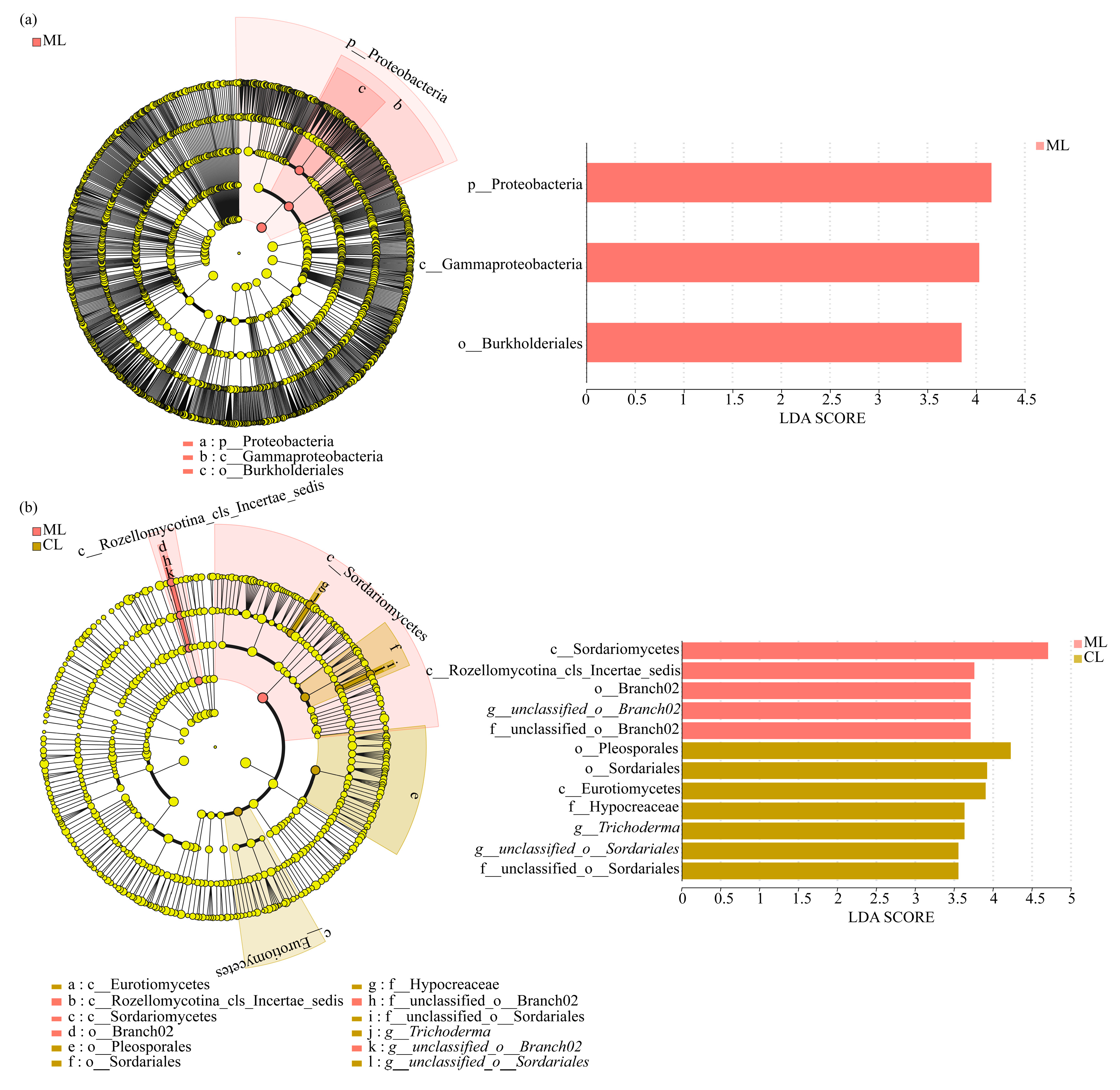 Microorganisms 13 01637 g004
