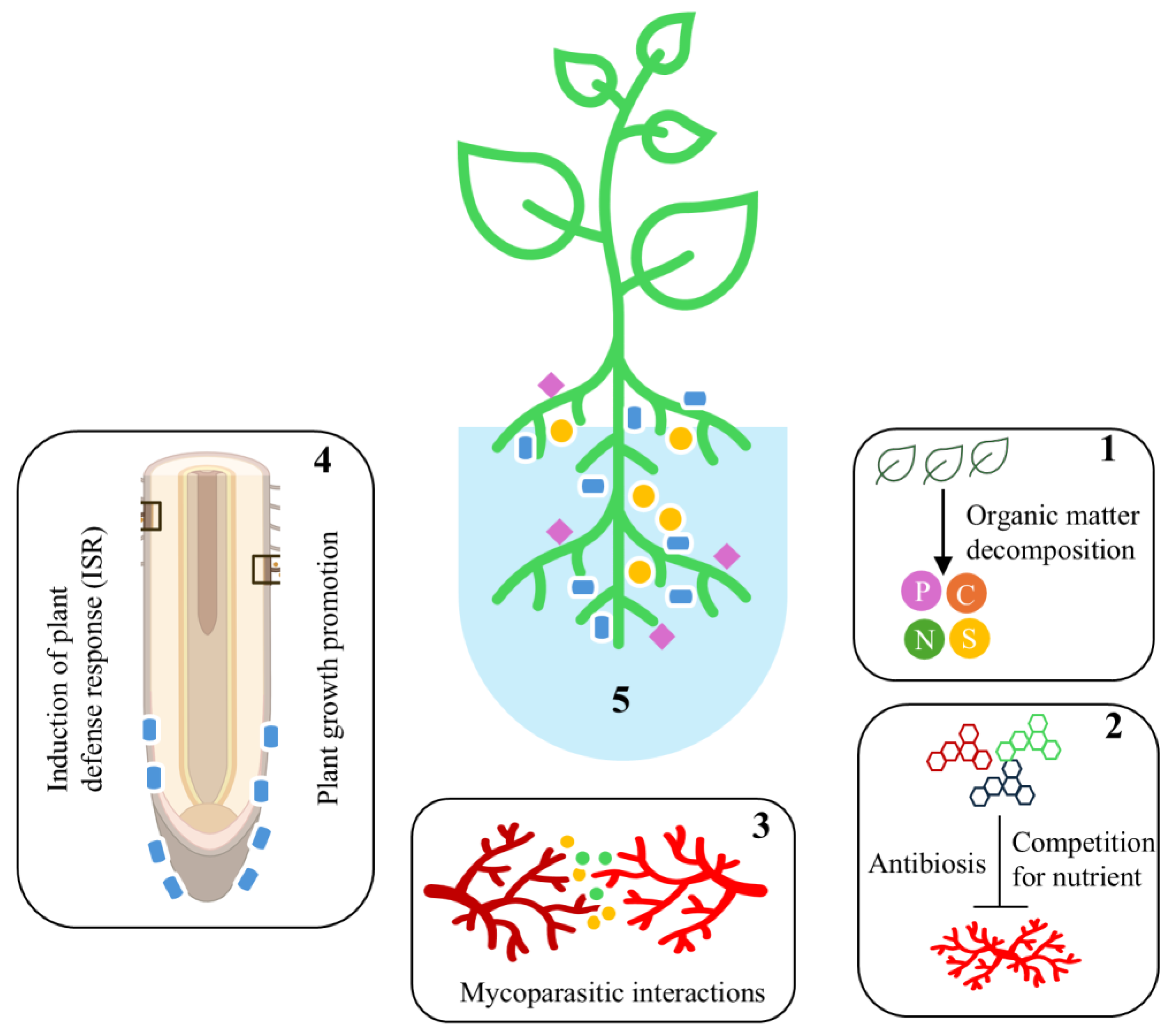 Microorganisms 13 01646 g001